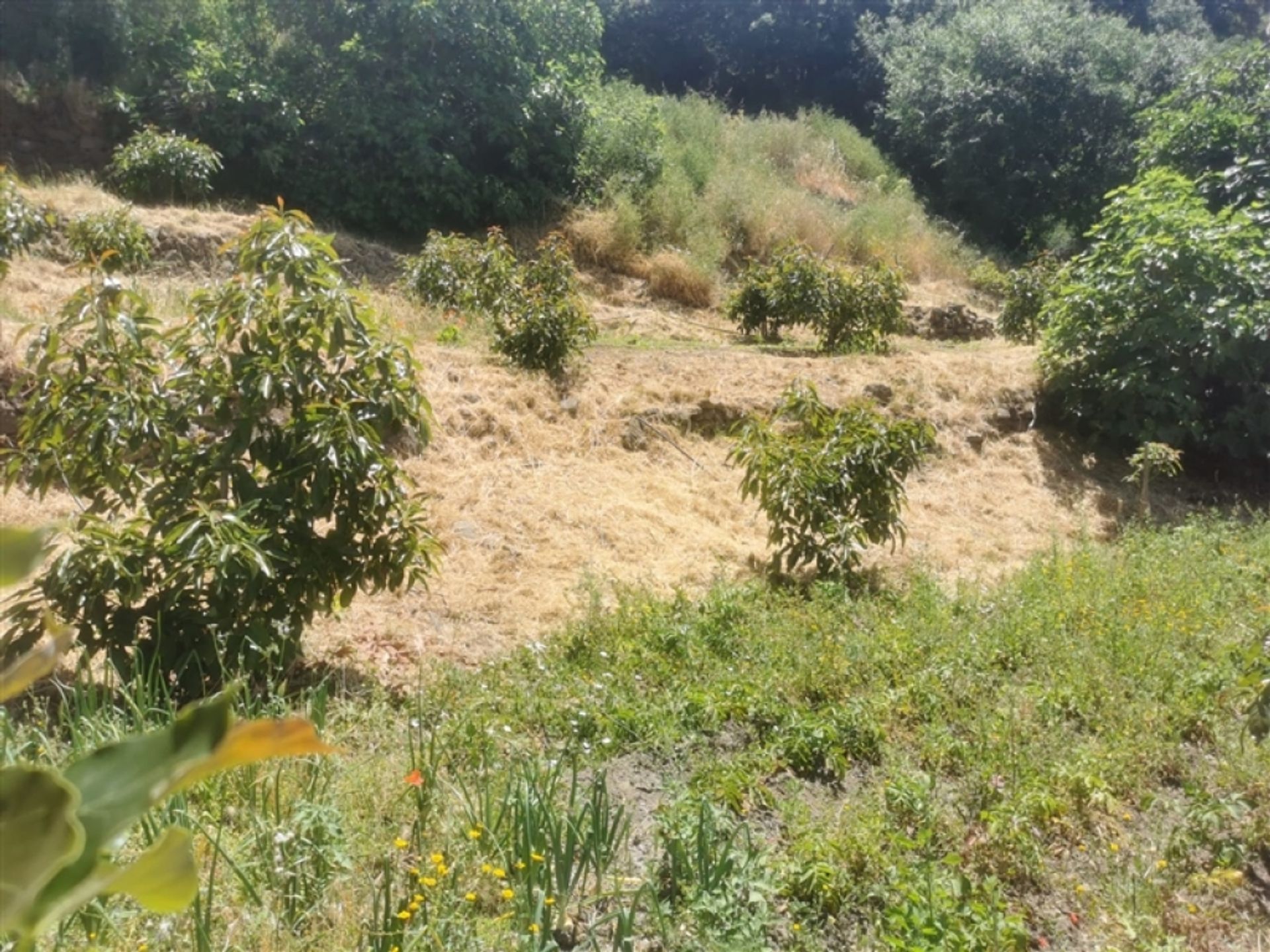 House in Jubrique, Andalucía 11517114