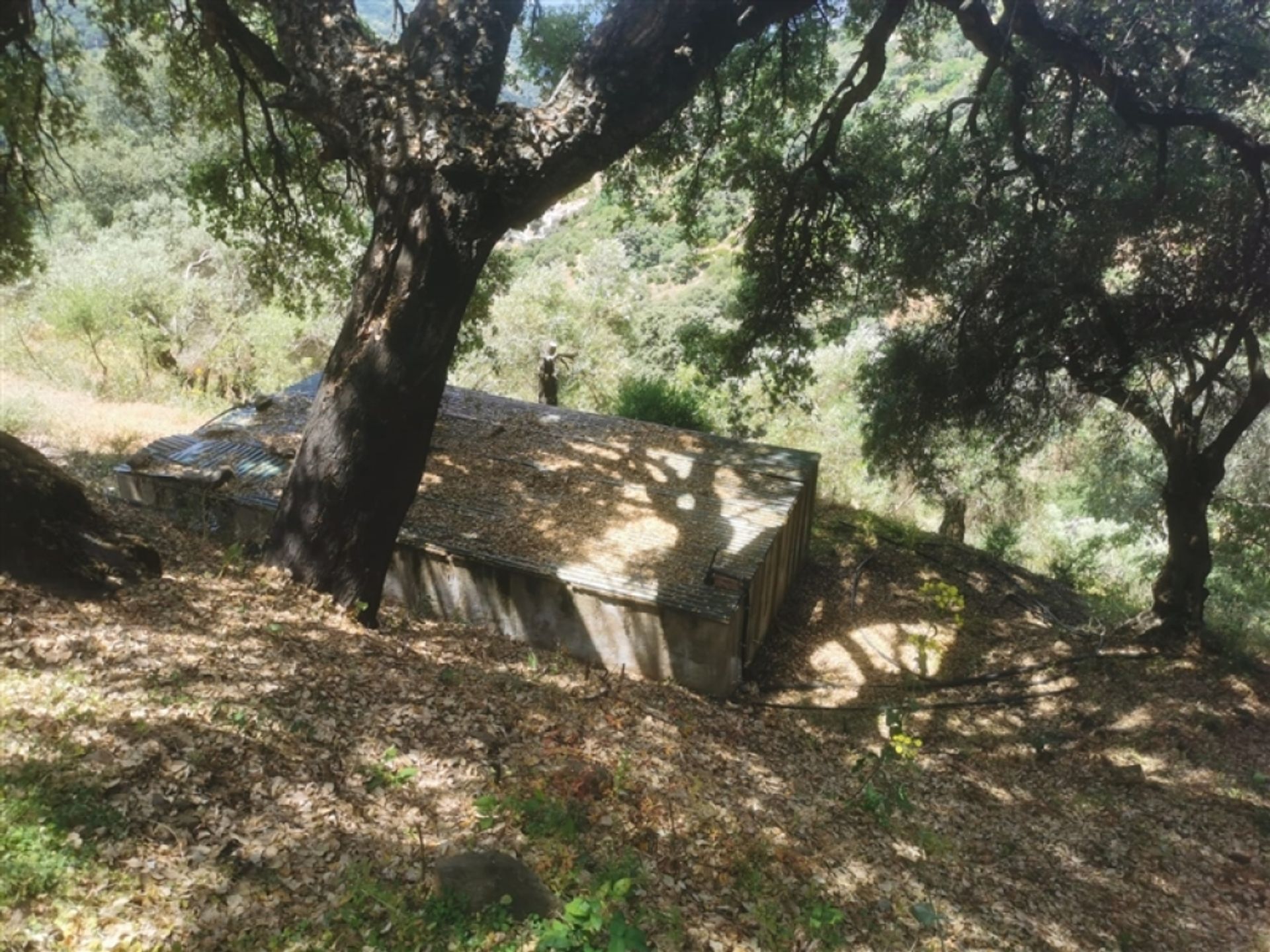 House in Jubrique, Andalucía 11517114