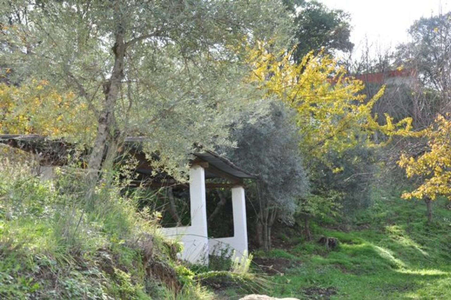 casa en Atajate, Andalucía 11517115