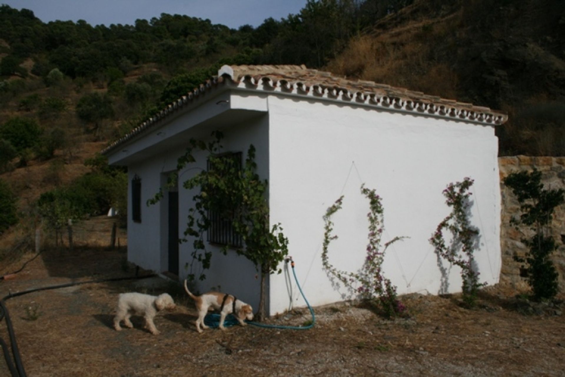 casa en Atajate, Andalucía 11517115