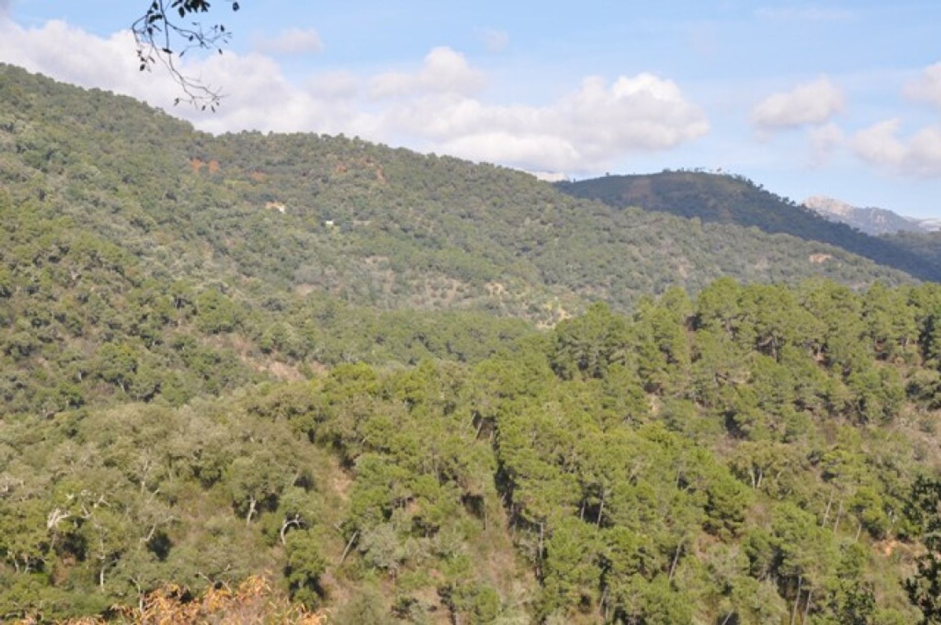 casa en Atajate, Andalucía 11517115