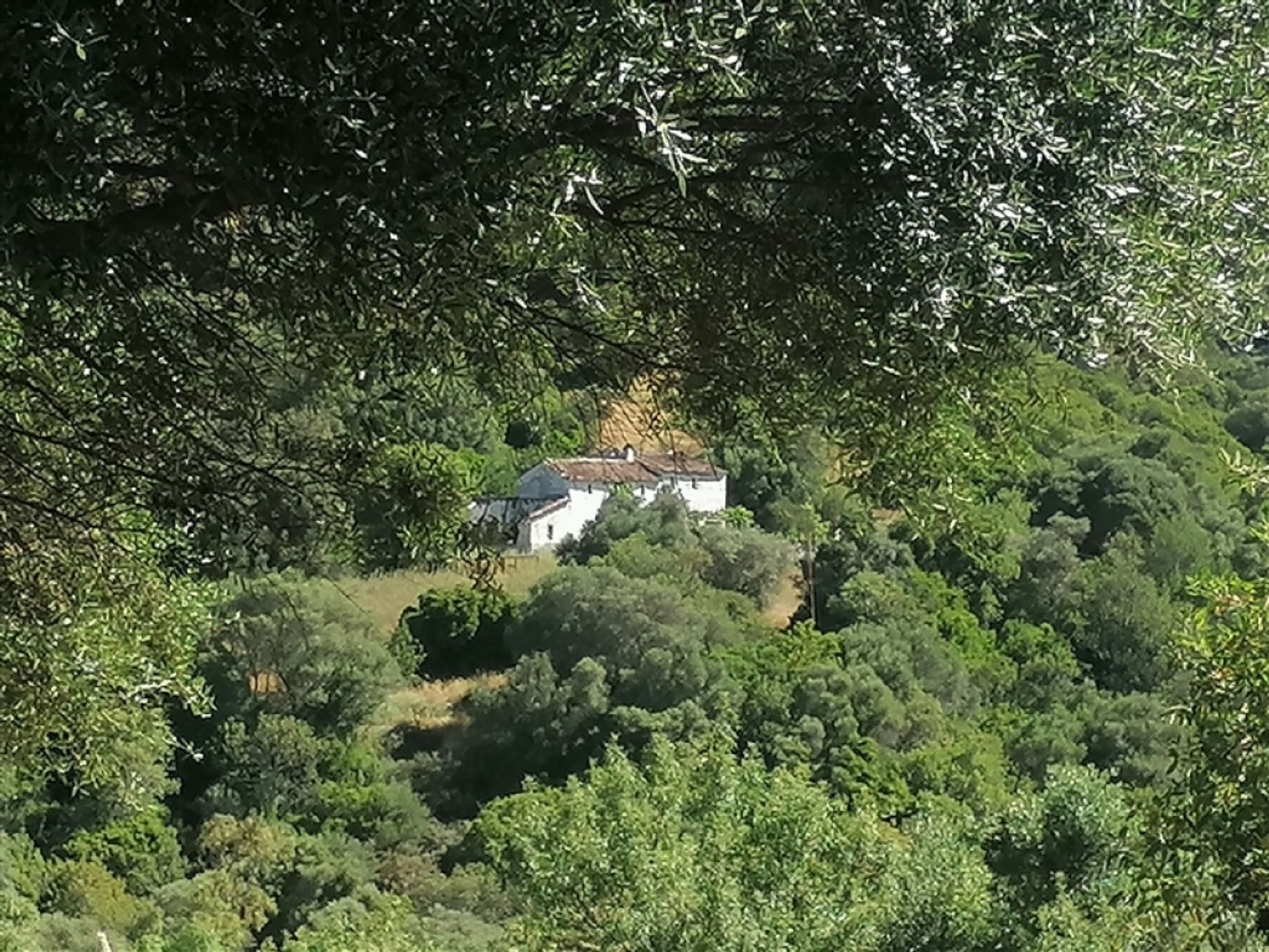 Hus i Jubrique, Andalucía 11517117