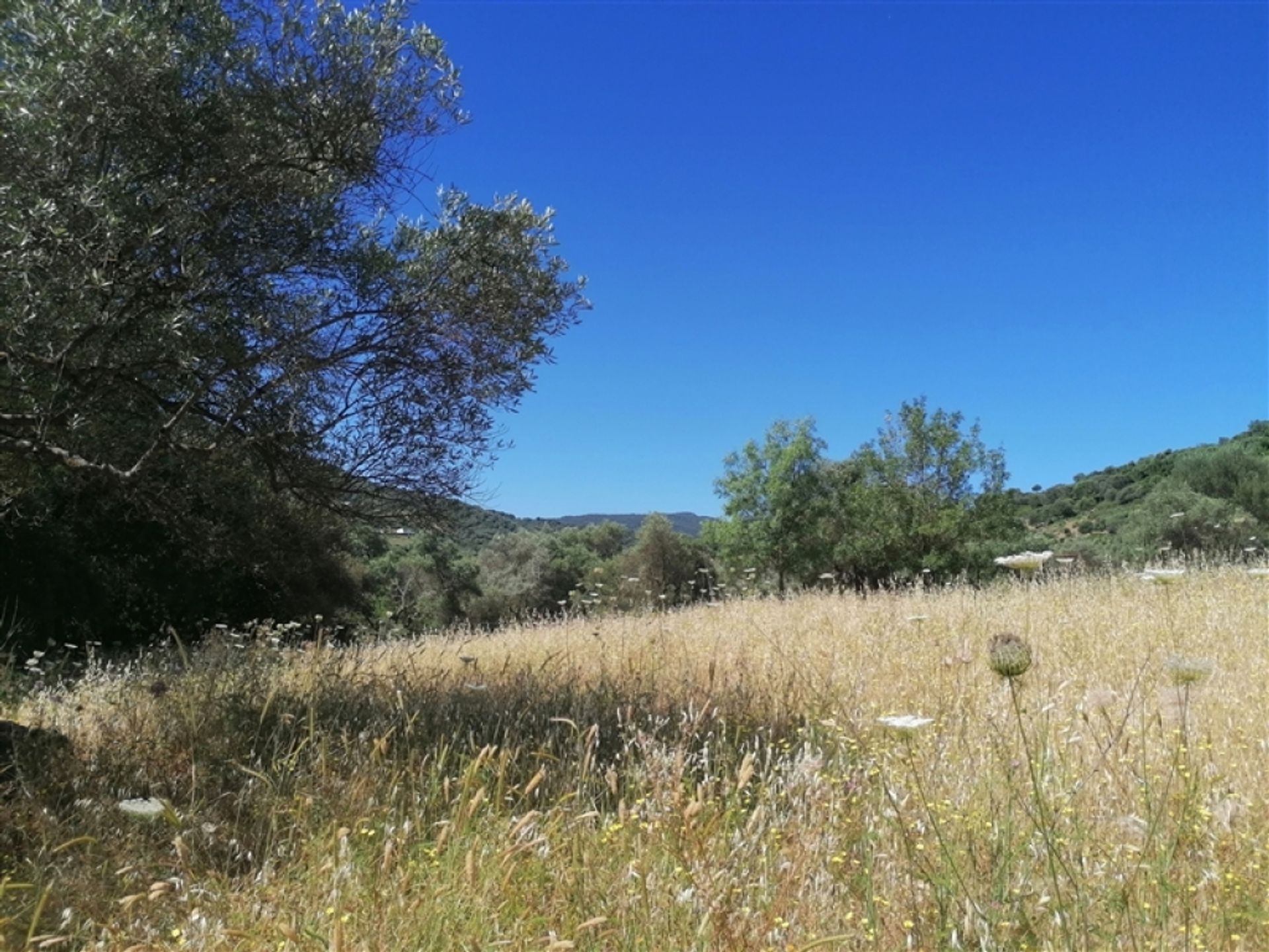 Hus i Jubrique, Andalucía 11517117