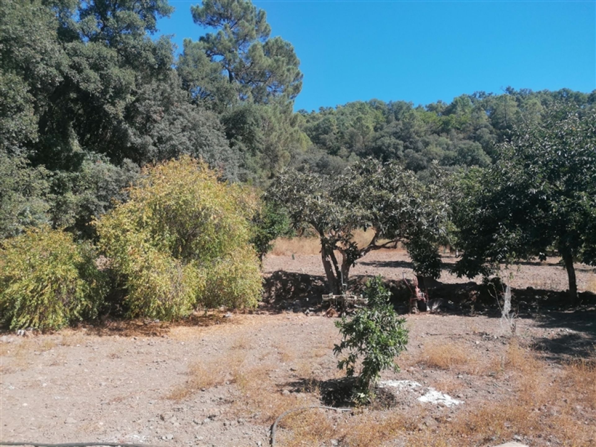 casa no Faraján, Andalucía 11517121