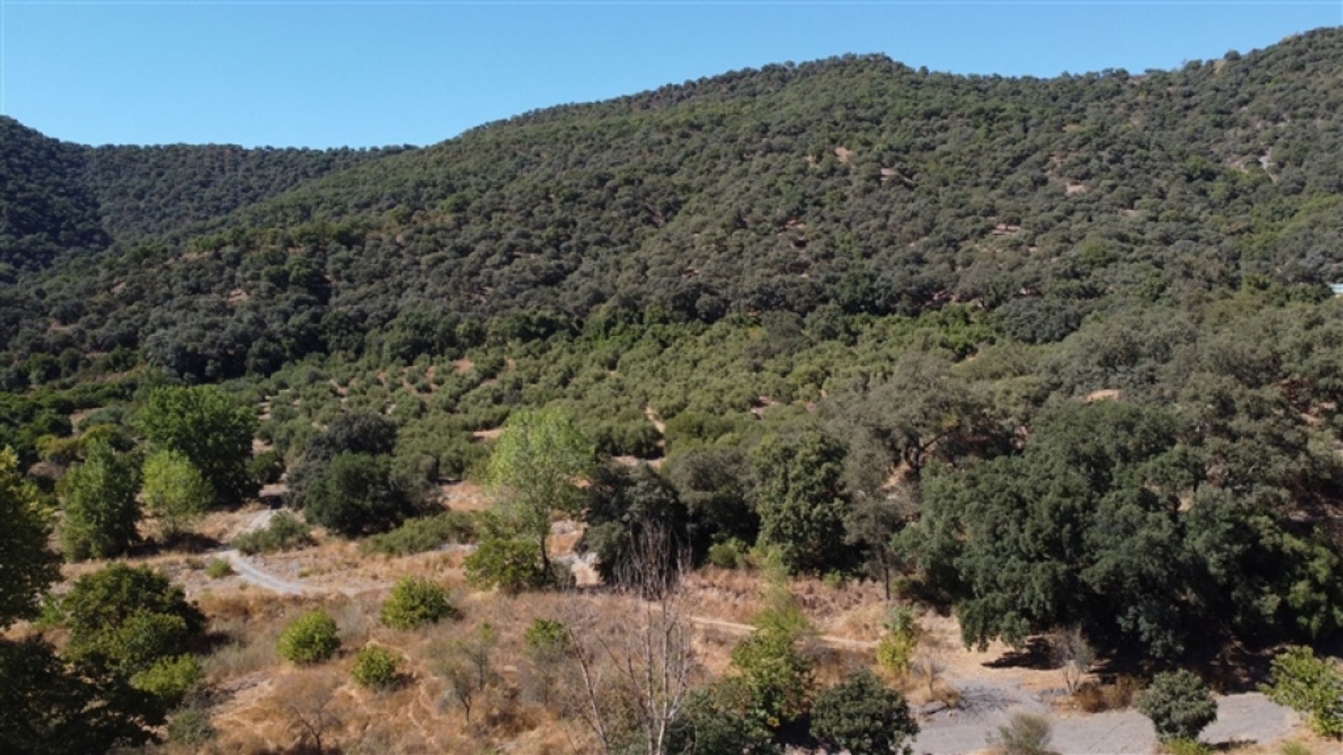 casa no Faraján, Andalucía 11517121