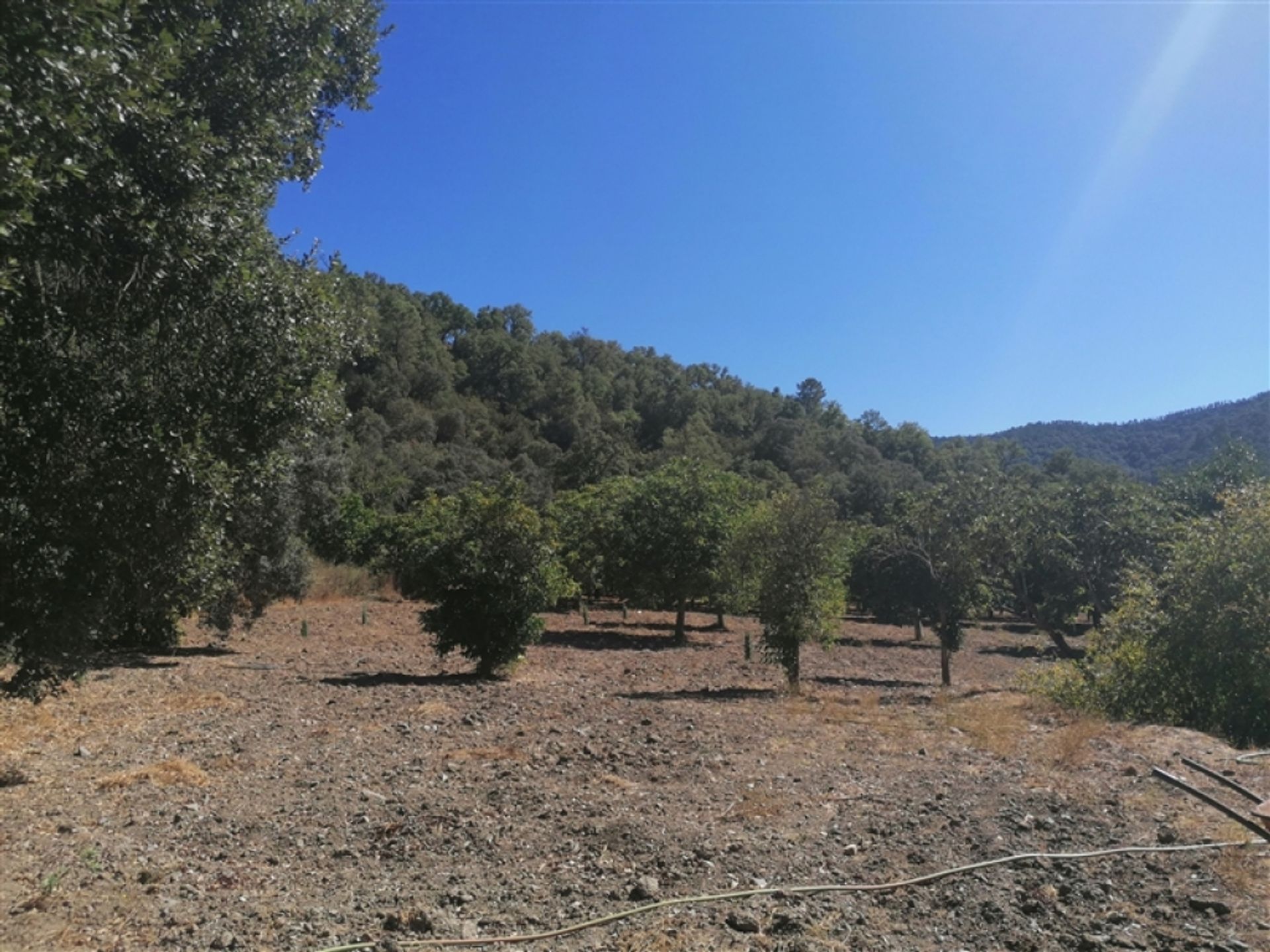 casa no Faraján, Andalucía 11517121