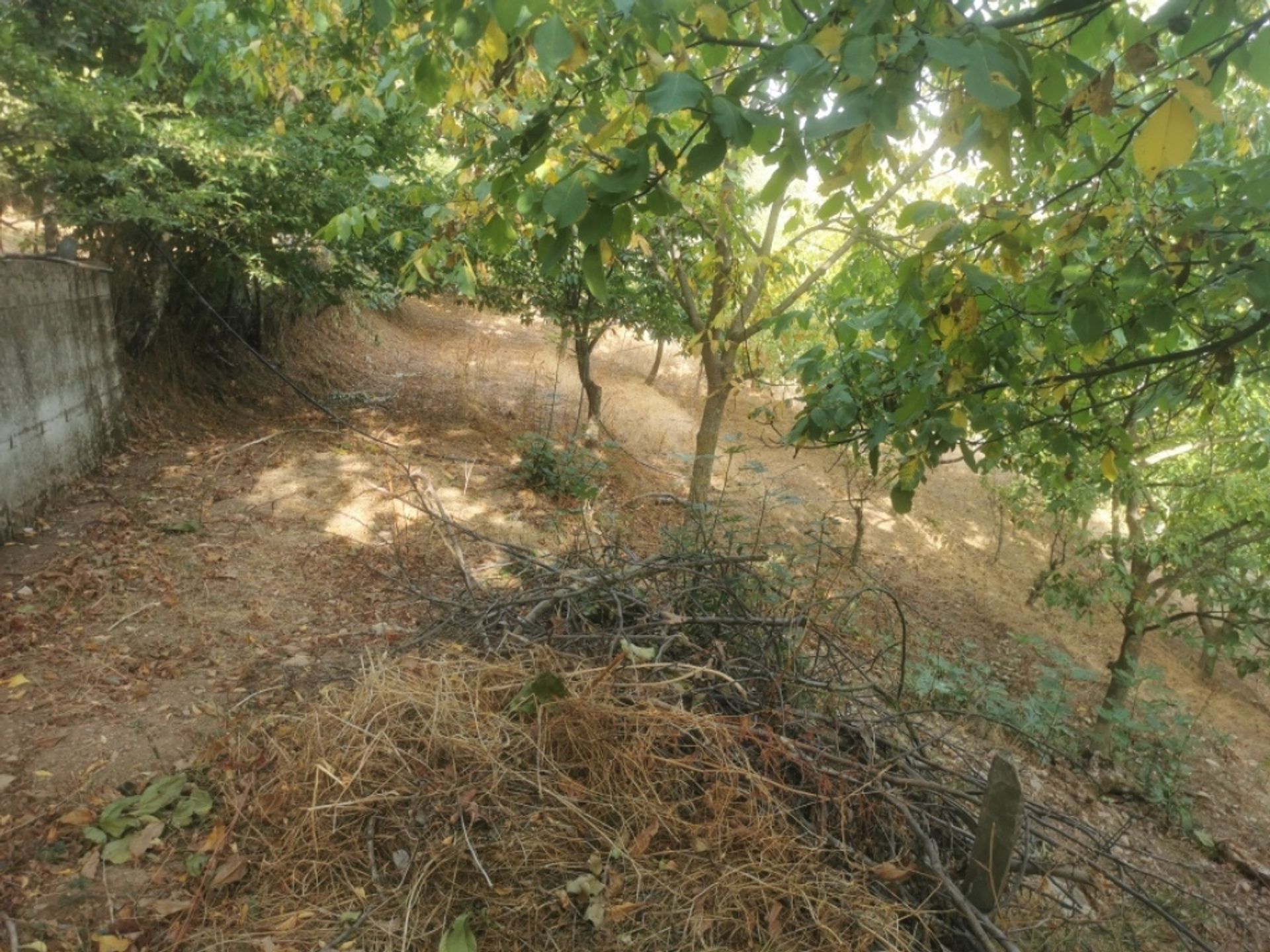 房子 在 Benarrabá, Andalucía 11517123