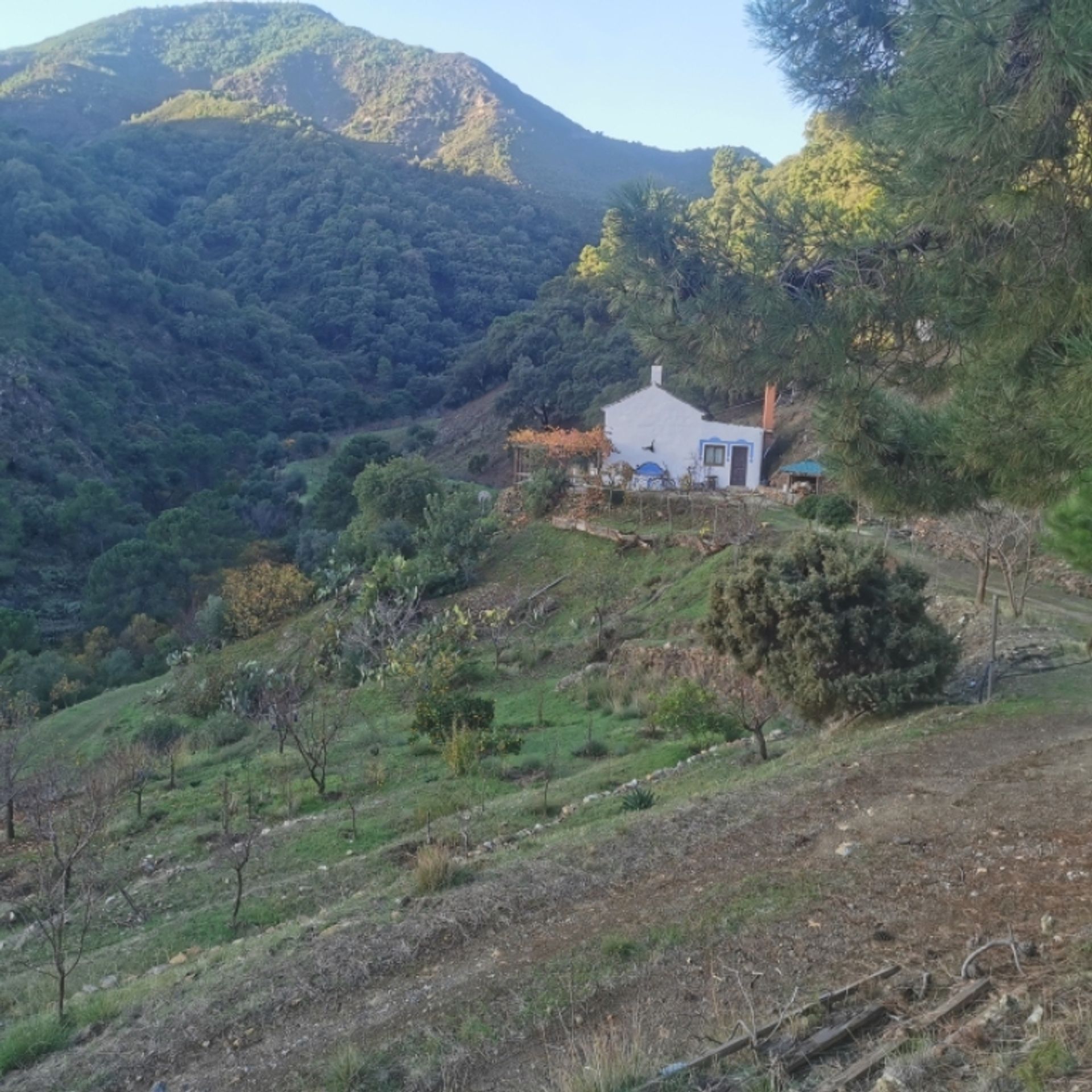 Huis in Istan, Andalusië 11517138