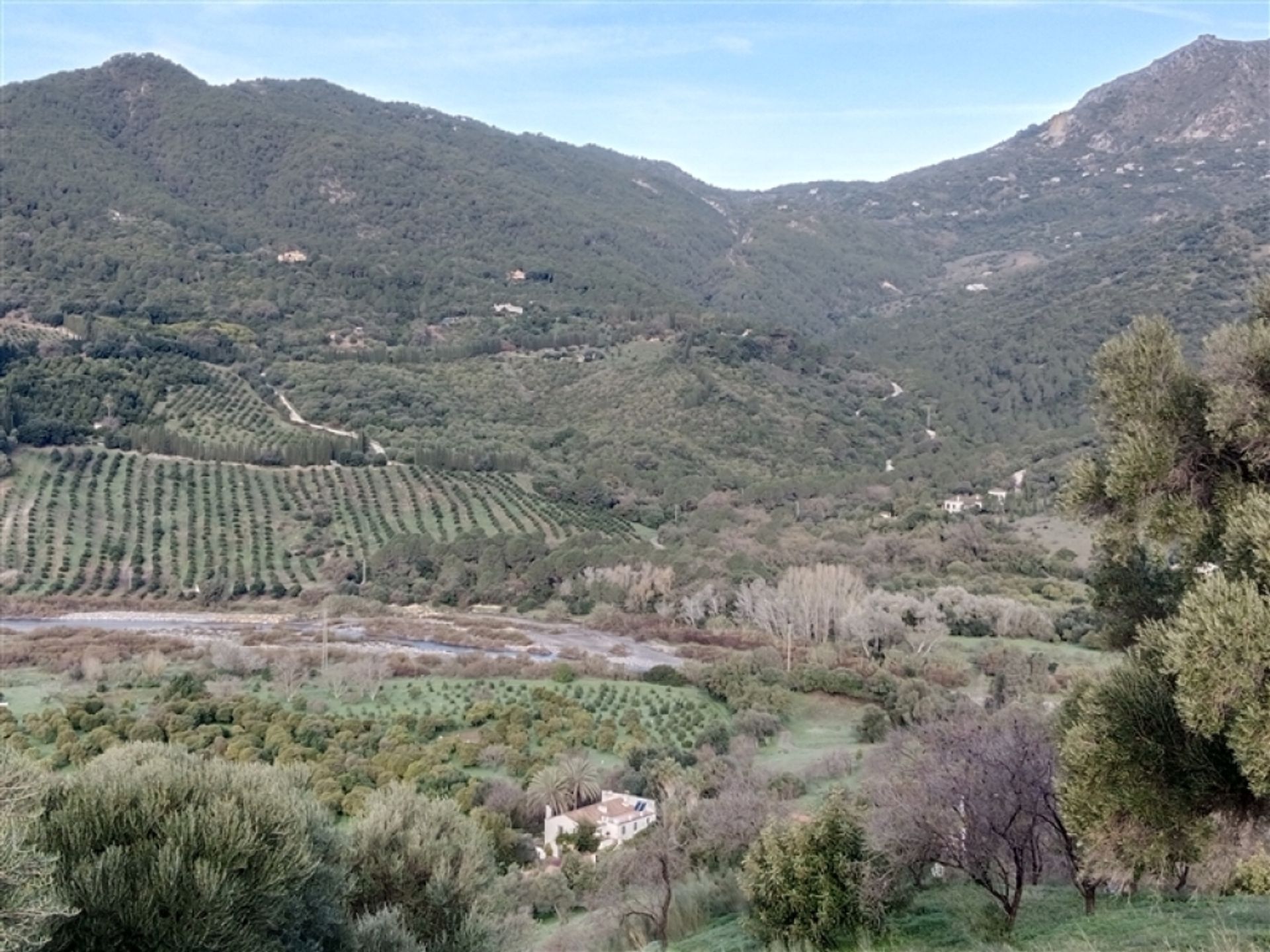 집 에 Gaucín, Andalucía 11517142