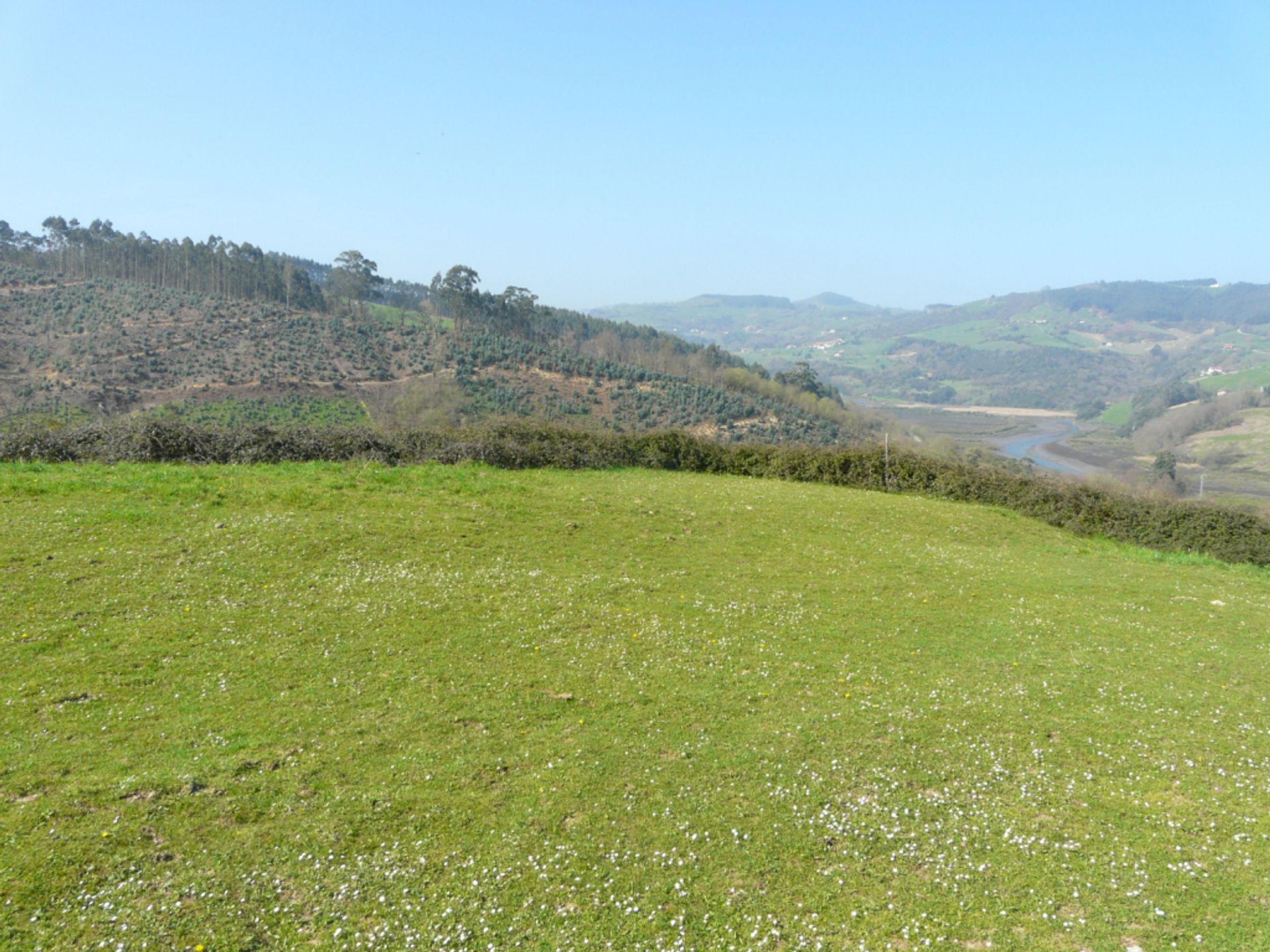 Land in Colindres, Cantabrië 11517224