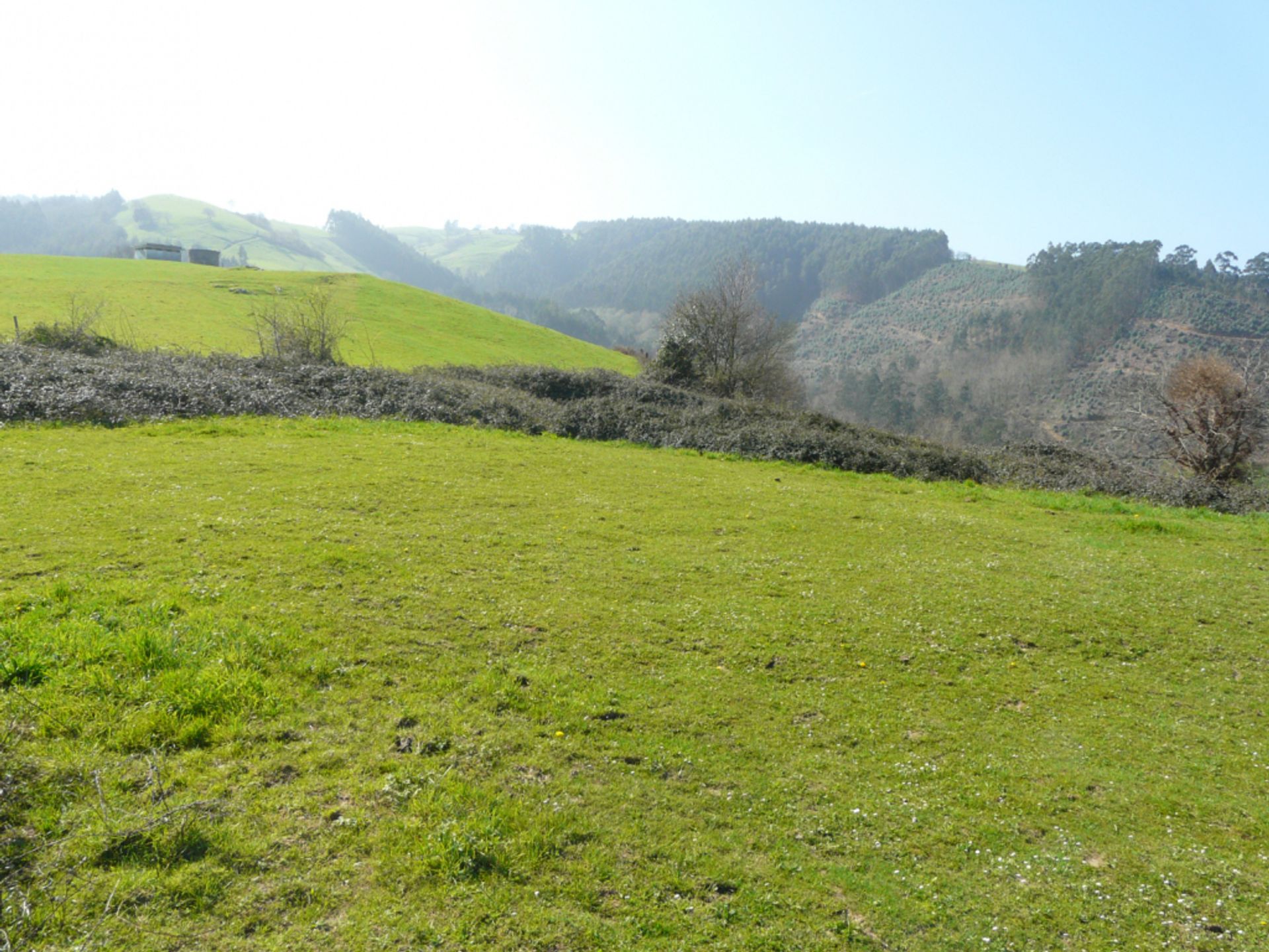 Tanah di Colindres, Cantabria 11517224