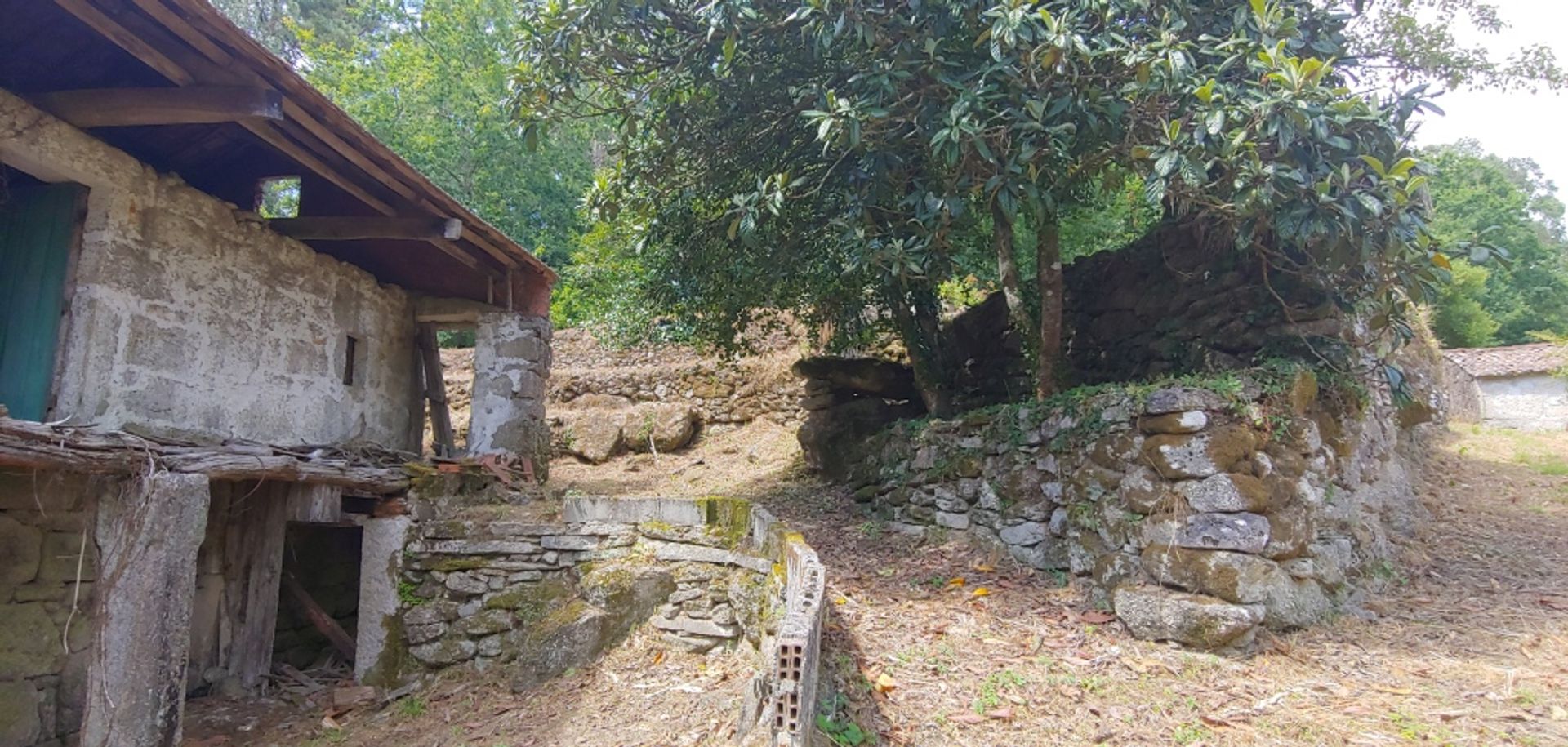 Hus i , Galicia 11517242