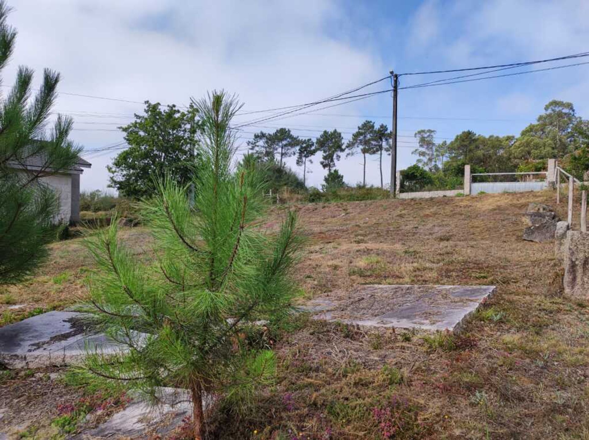 Land in O Porriño, Galicia 11517259