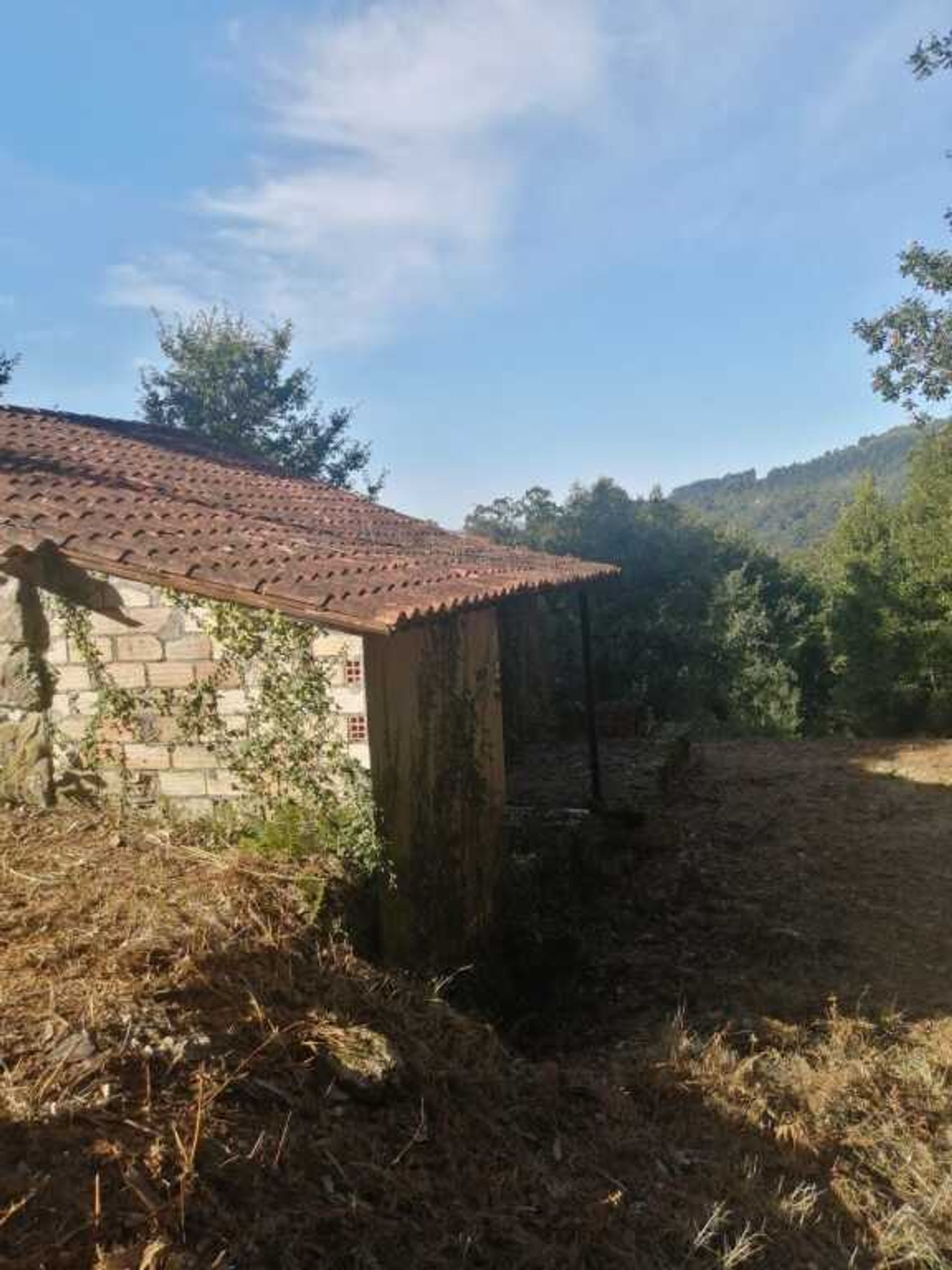 Haus im Alvaredo, Viana do Castelo 11517262