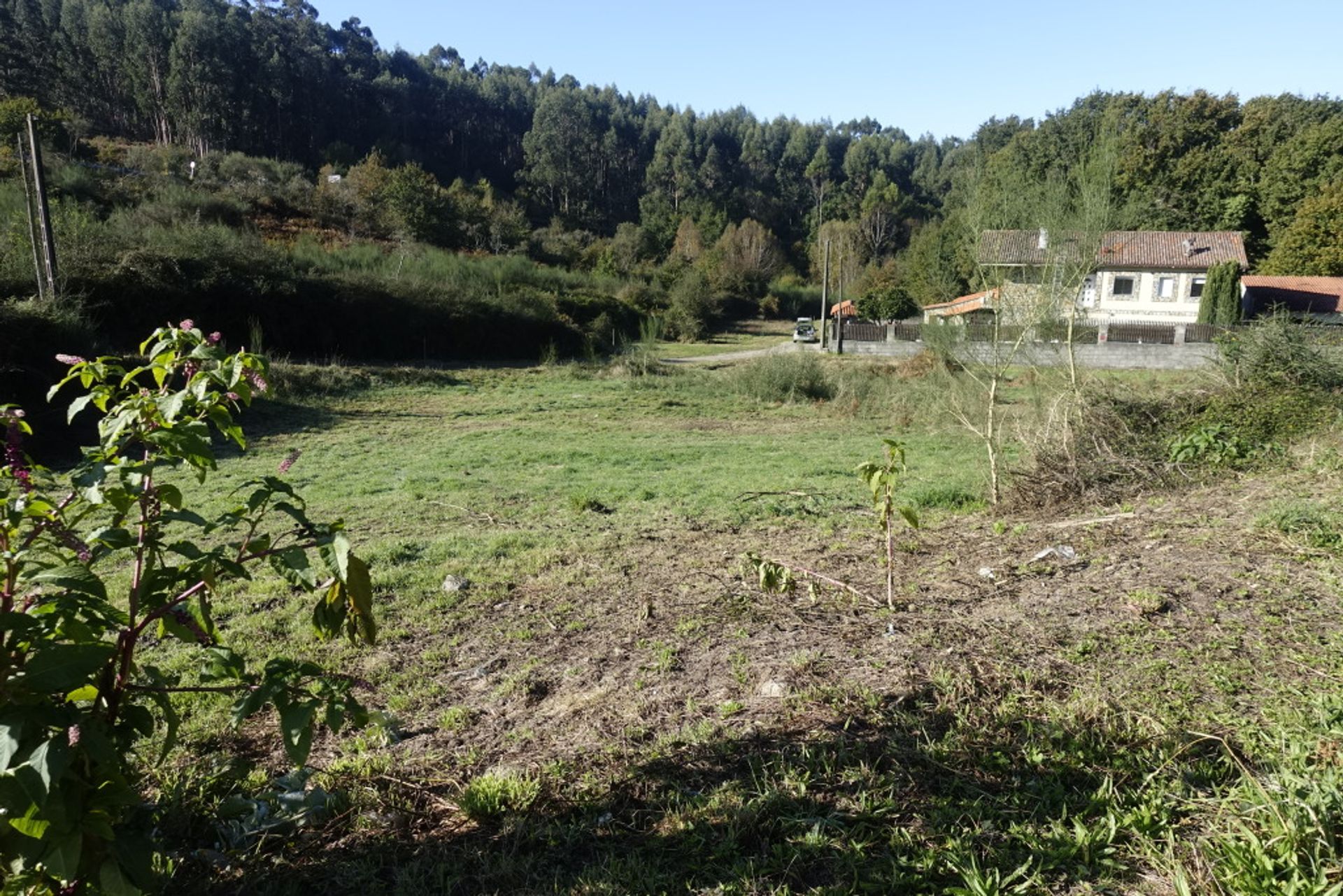 Tanah di Fornelos de Montes, Galicia 11517275