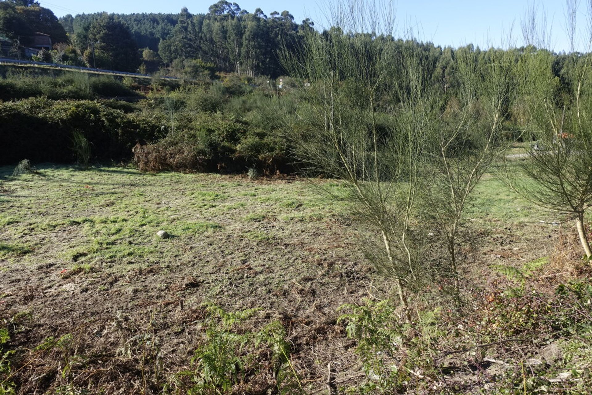 Tanah dalam Fornelos de Montes, Galicia 11517275