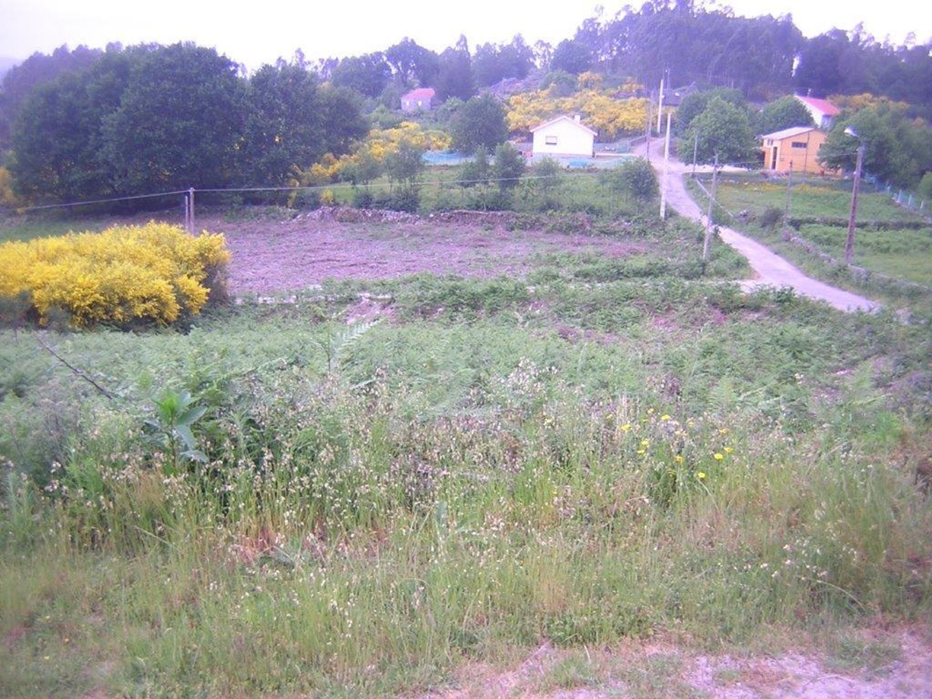 Tanah di Fornelos de Montes, Galicia 11517275