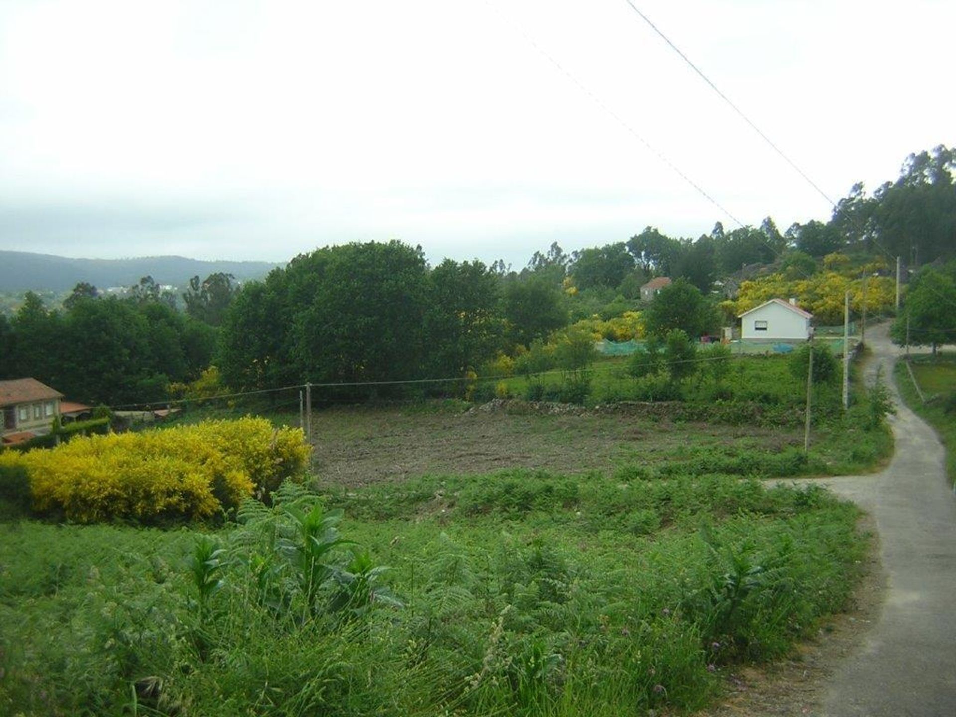 Maa sisään Fornelos de Montes, Galicia 11517275