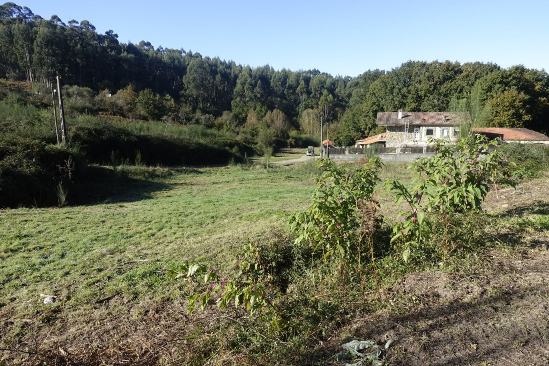 الأرض في Fornelos de Montes, Galicia 11517275