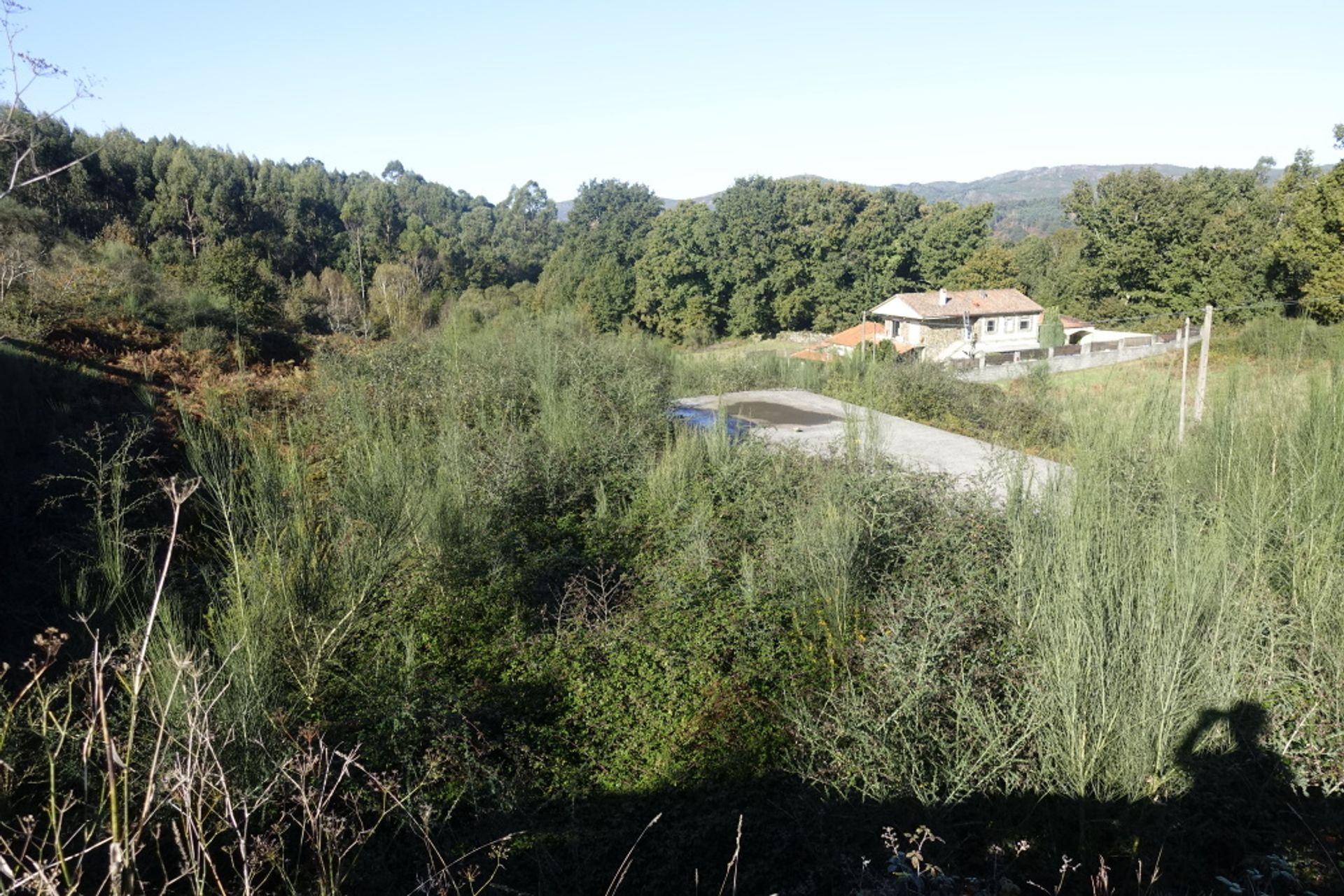 Tanah dalam Fornelos de Montes, Galicia 11517275