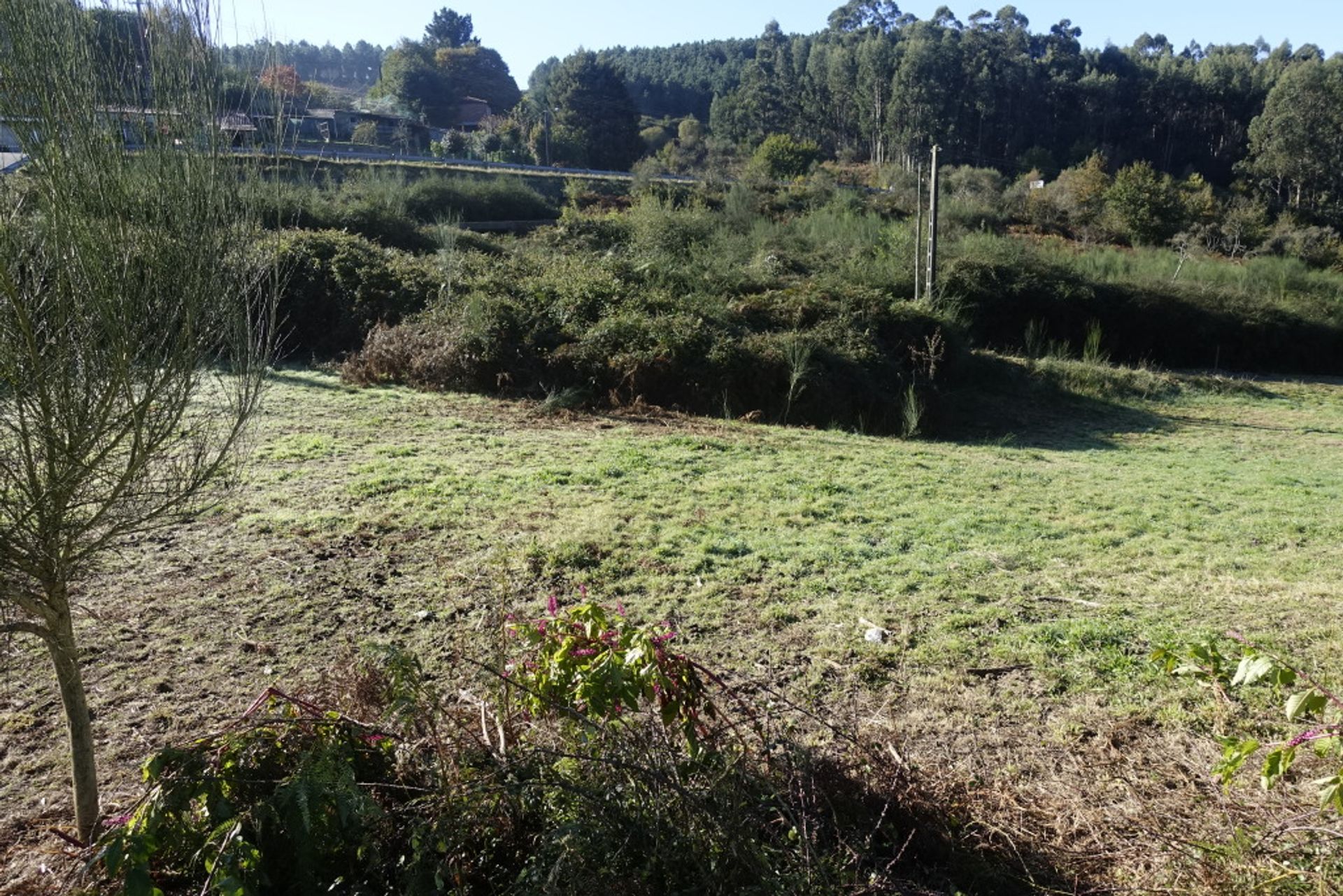 Maa sisään Fornelos de Montes, Galicia 11517275