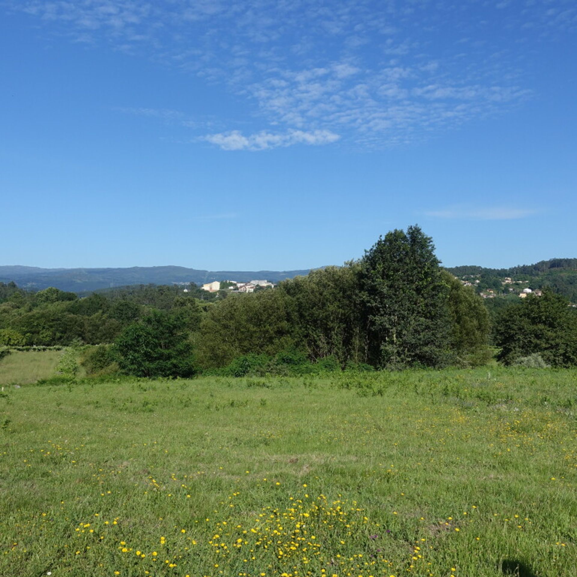 Land i Pé do Muíno, Galicia 11517291