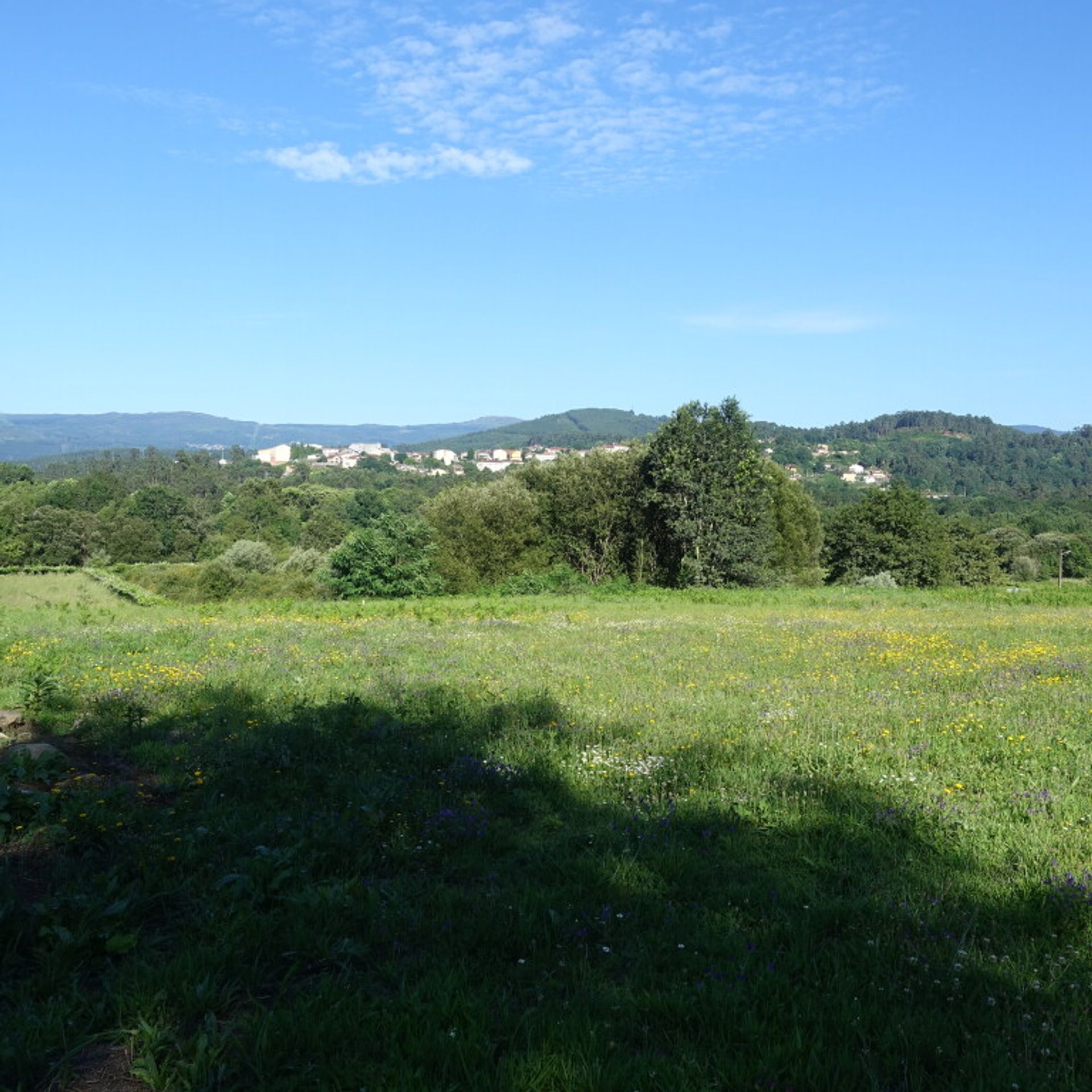 Land i Pé do Muíno, Galicia 11517291