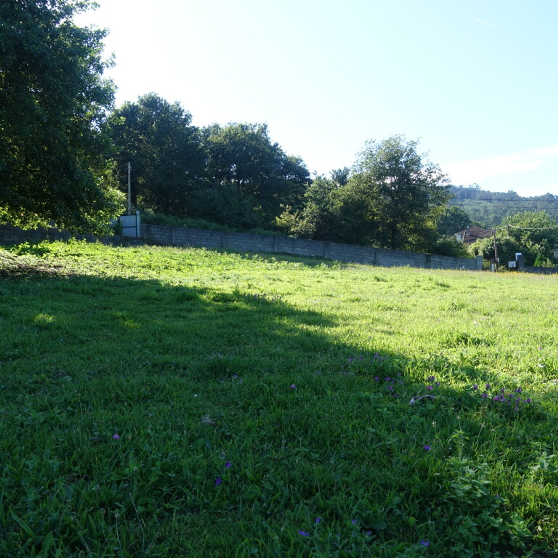 Land i Pé do Muíno, Galicia 11517291