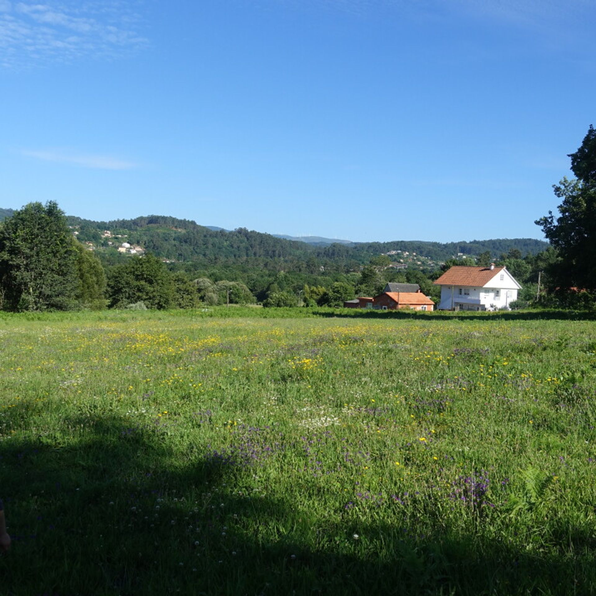 Land i Pé do Muíno, Galicia 11517291