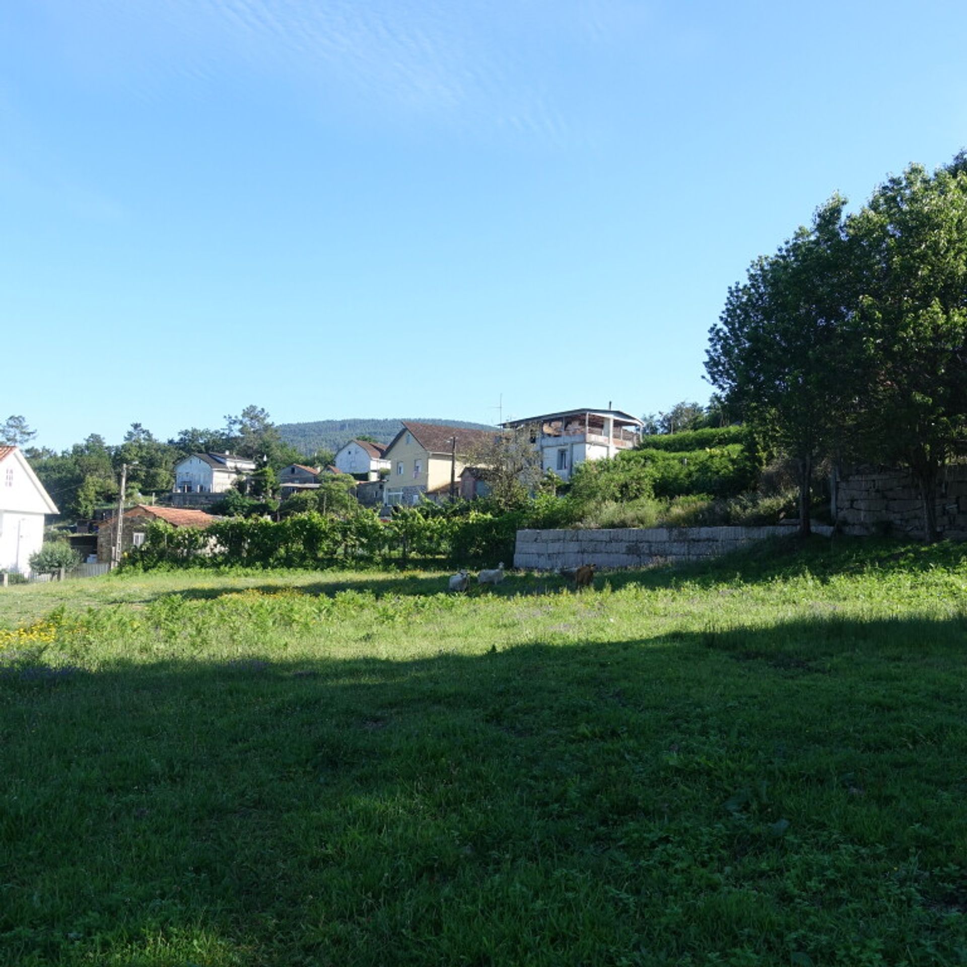 Land i Pé do Muíno, Galicia 11517291