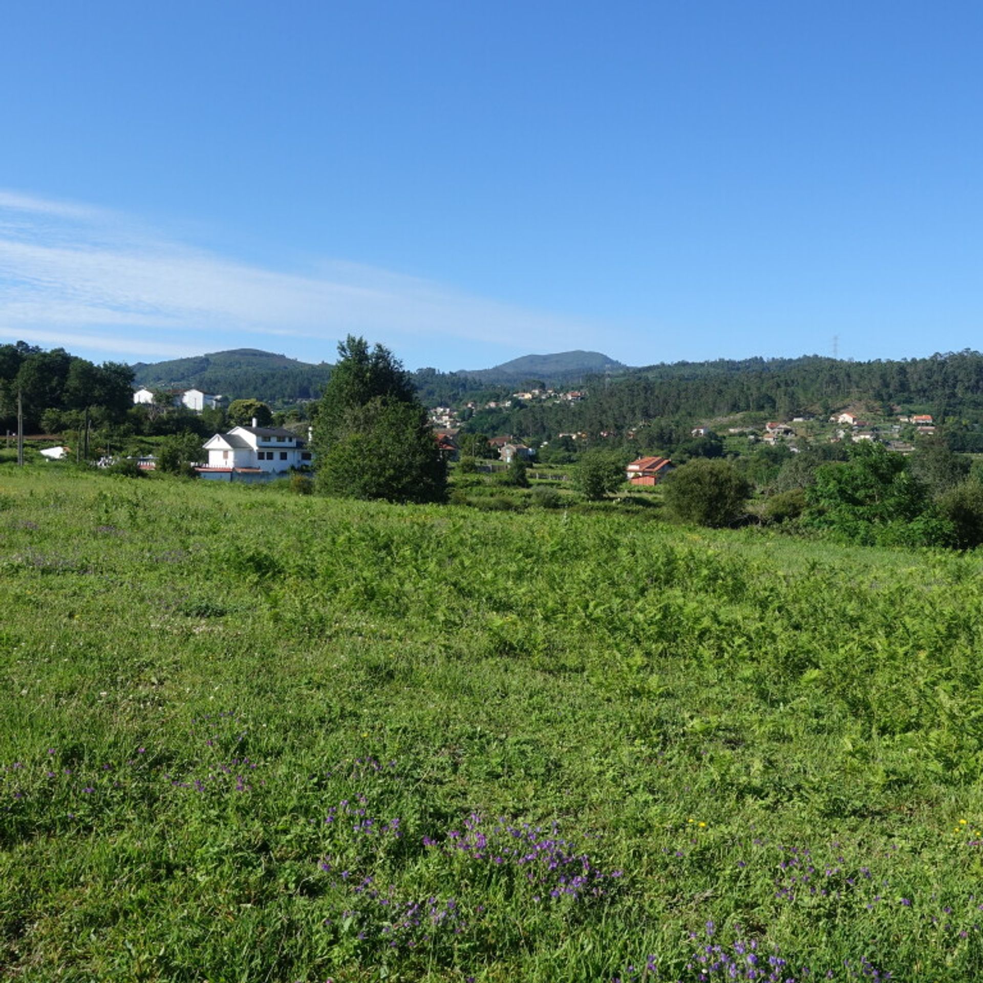 Land i Pé do Muíno, Galicia 11517291