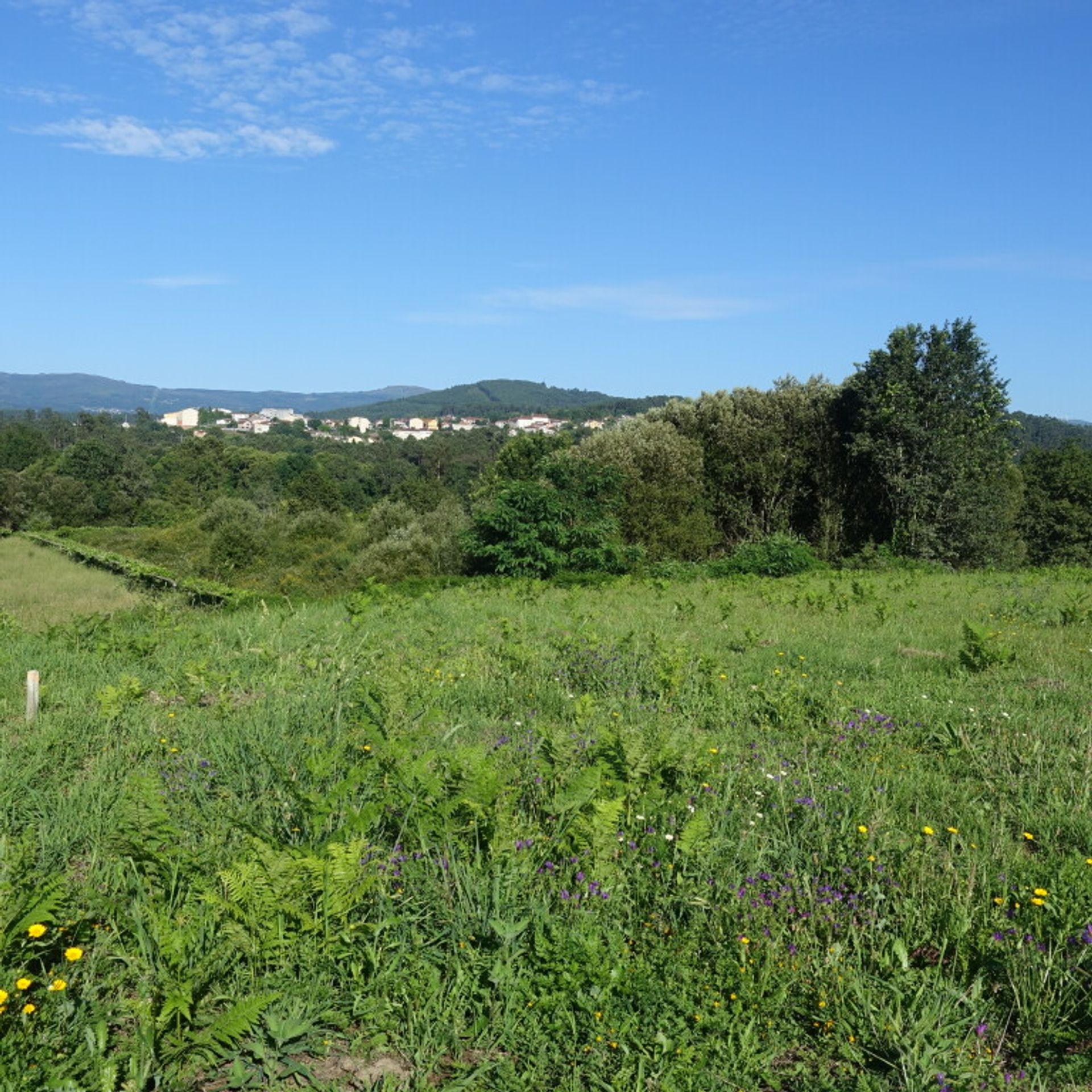 Land i Mondariz-Balneario, Galicia 11517291