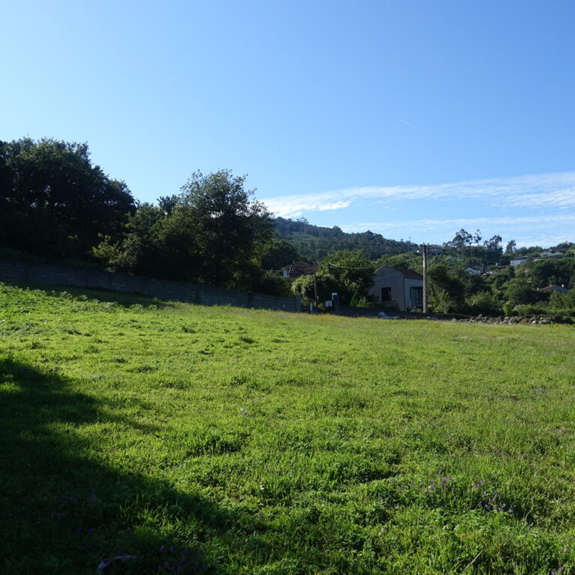 Land i Pé do Muíno, Galicia 11517291