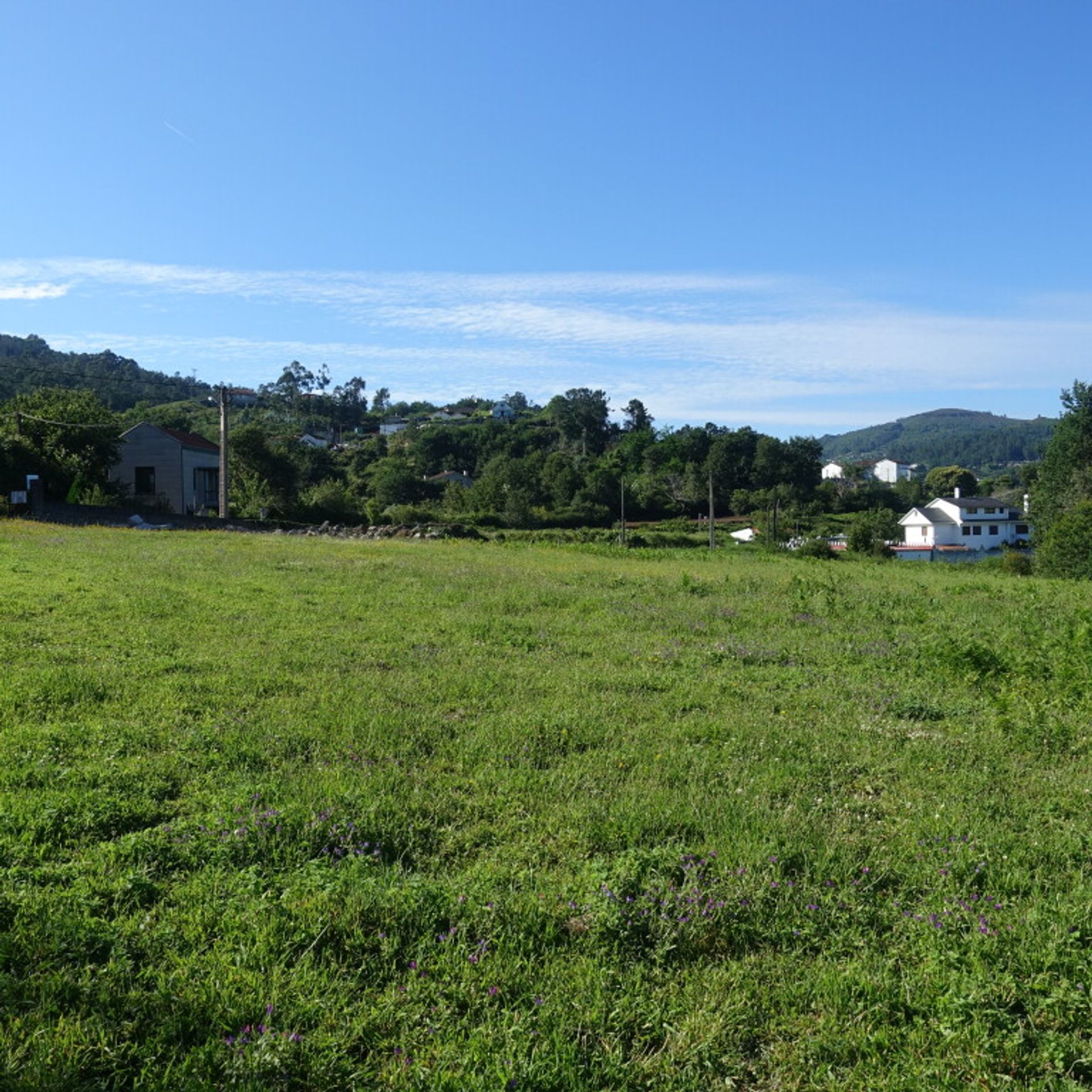 Land i Pé do Muíno, Galicia 11517291