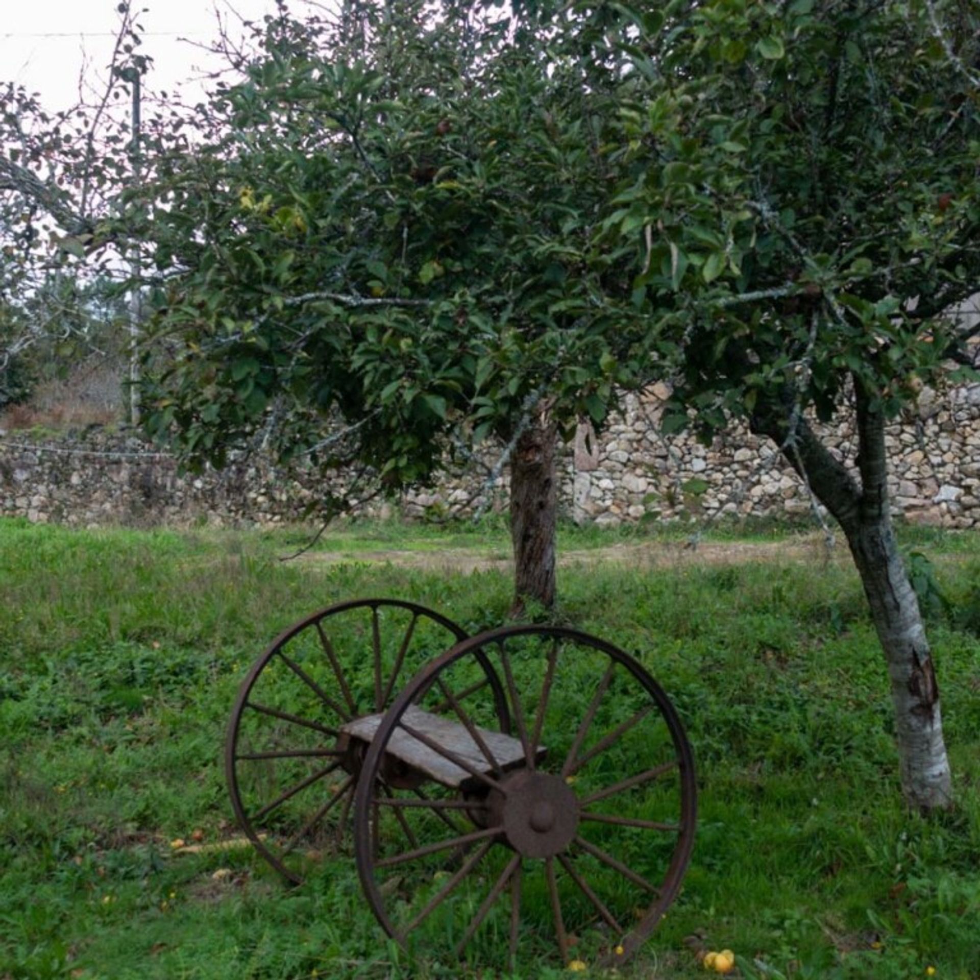 집 에 O Mosteiro, Galicia 11517314