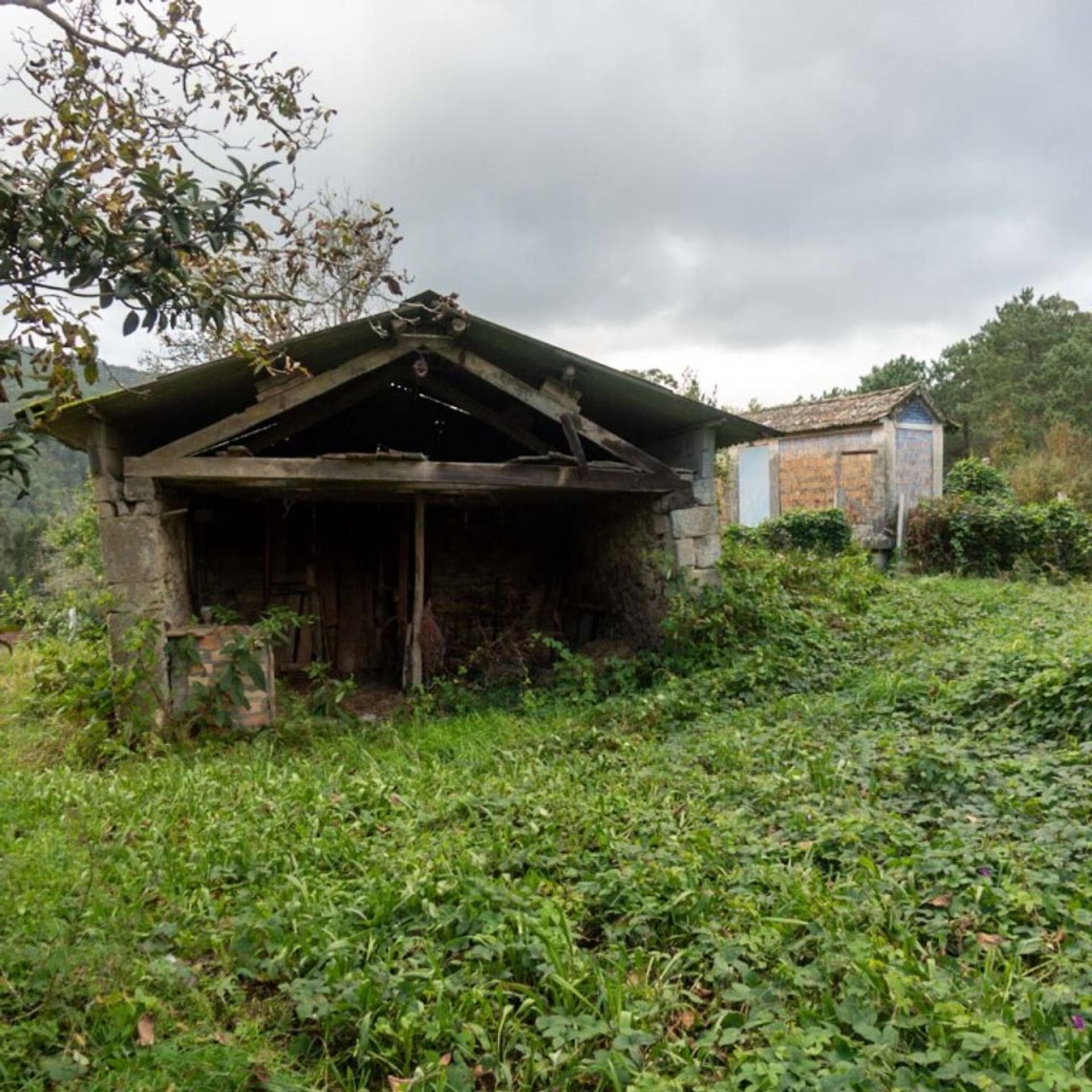 집 에 O Mosteiro, Galicia 11517314