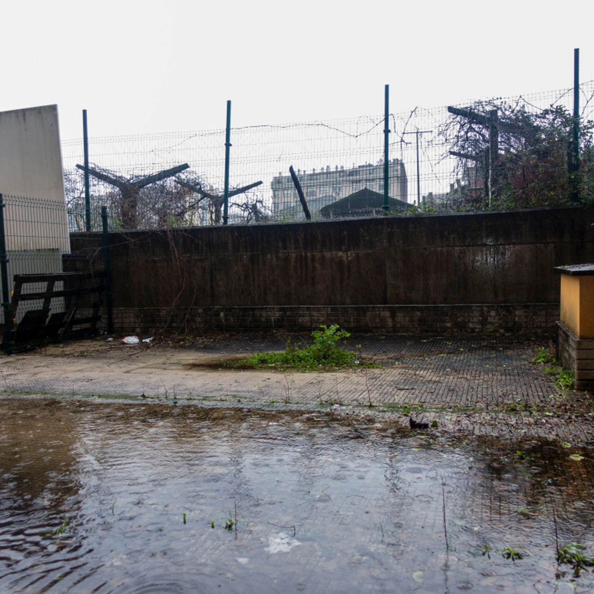 Industriel dans Salvaterra de Miño, Galicia 11517328