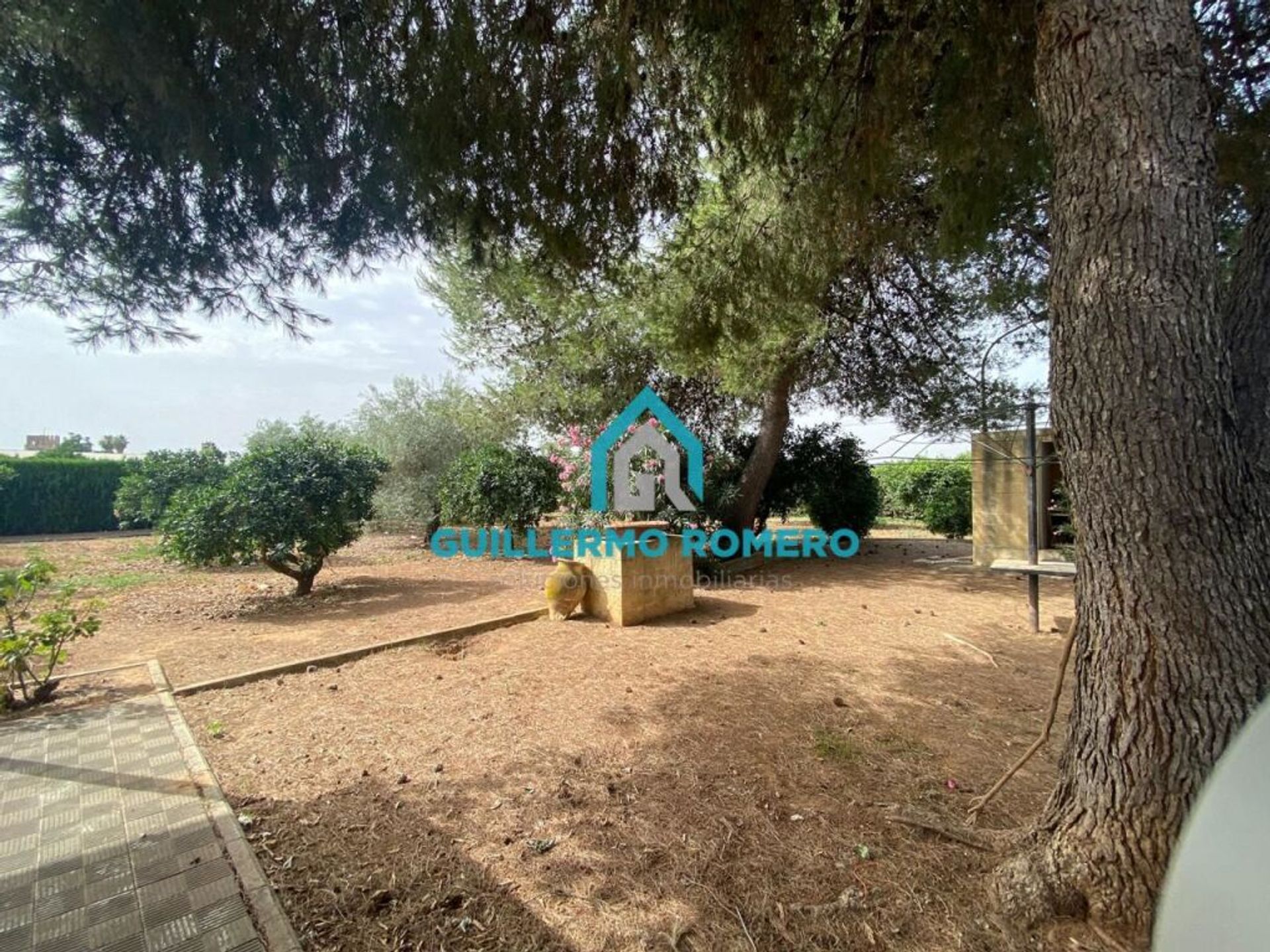 Casa nel Coria del Río, Andalusia 11517341