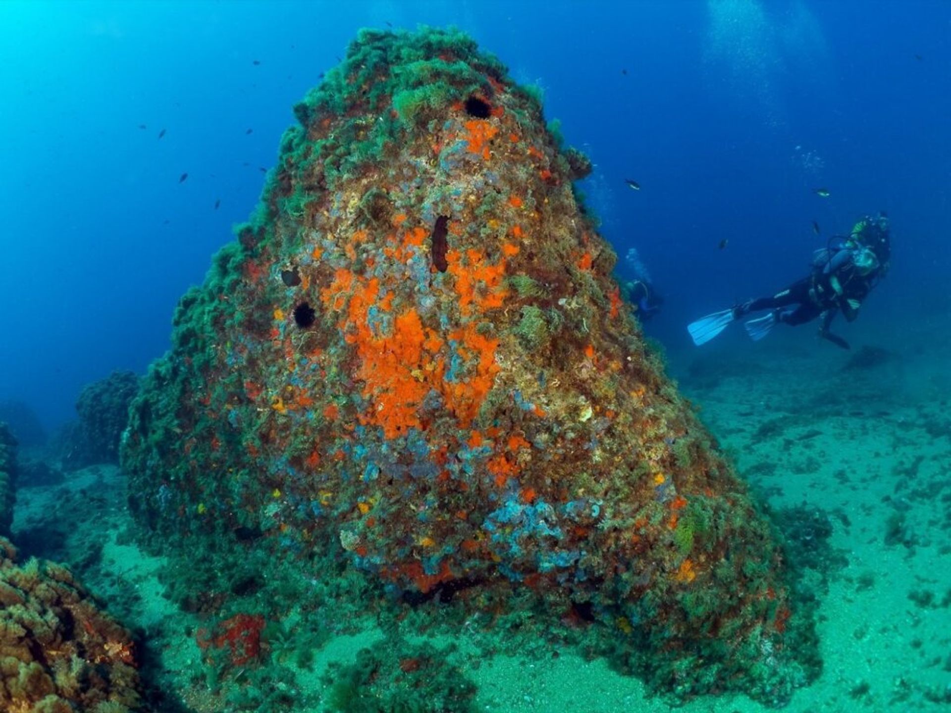 Borettslag i Águilas, Región de Murcia 11517699