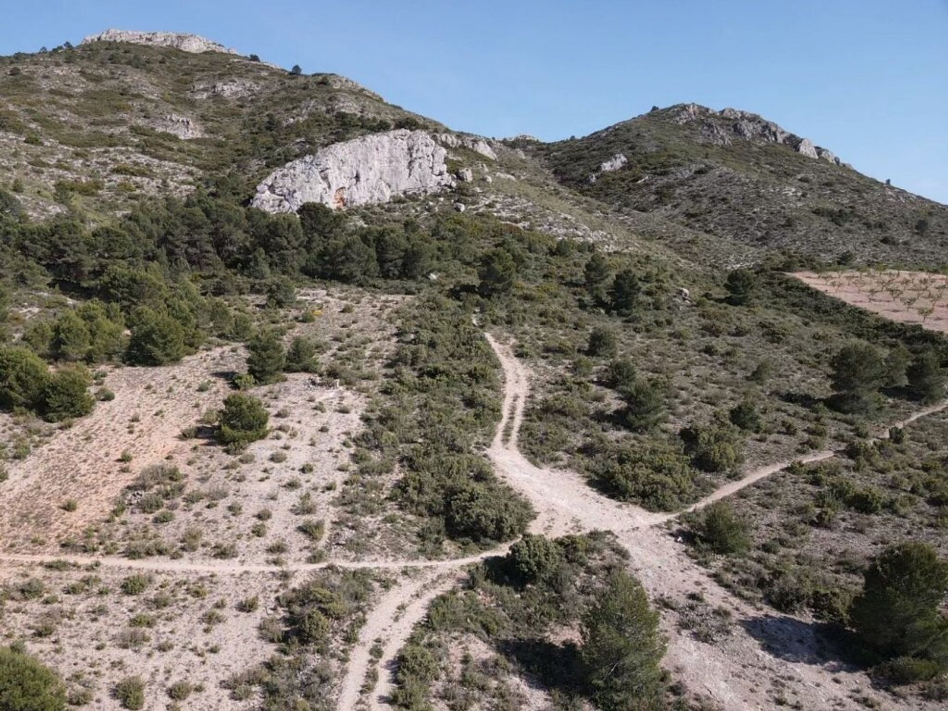 Haus im Yecla, Región de Murcia 11517885