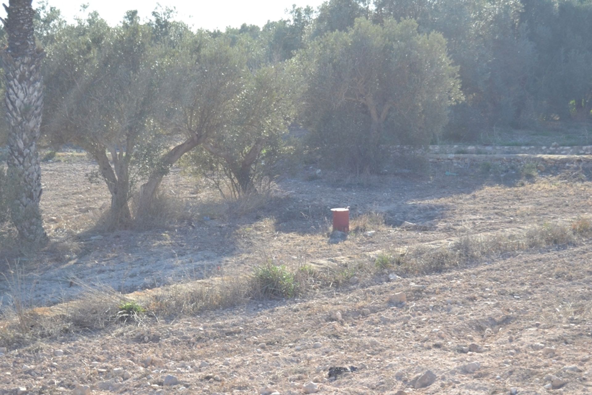 Tanah di Níjar, Andalucía 11518612