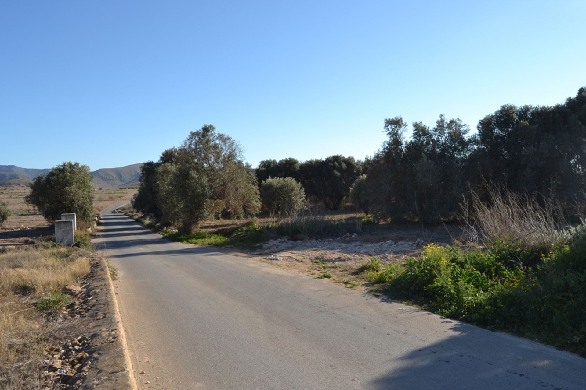 Tanah di Níjar, Andalucía 11518612