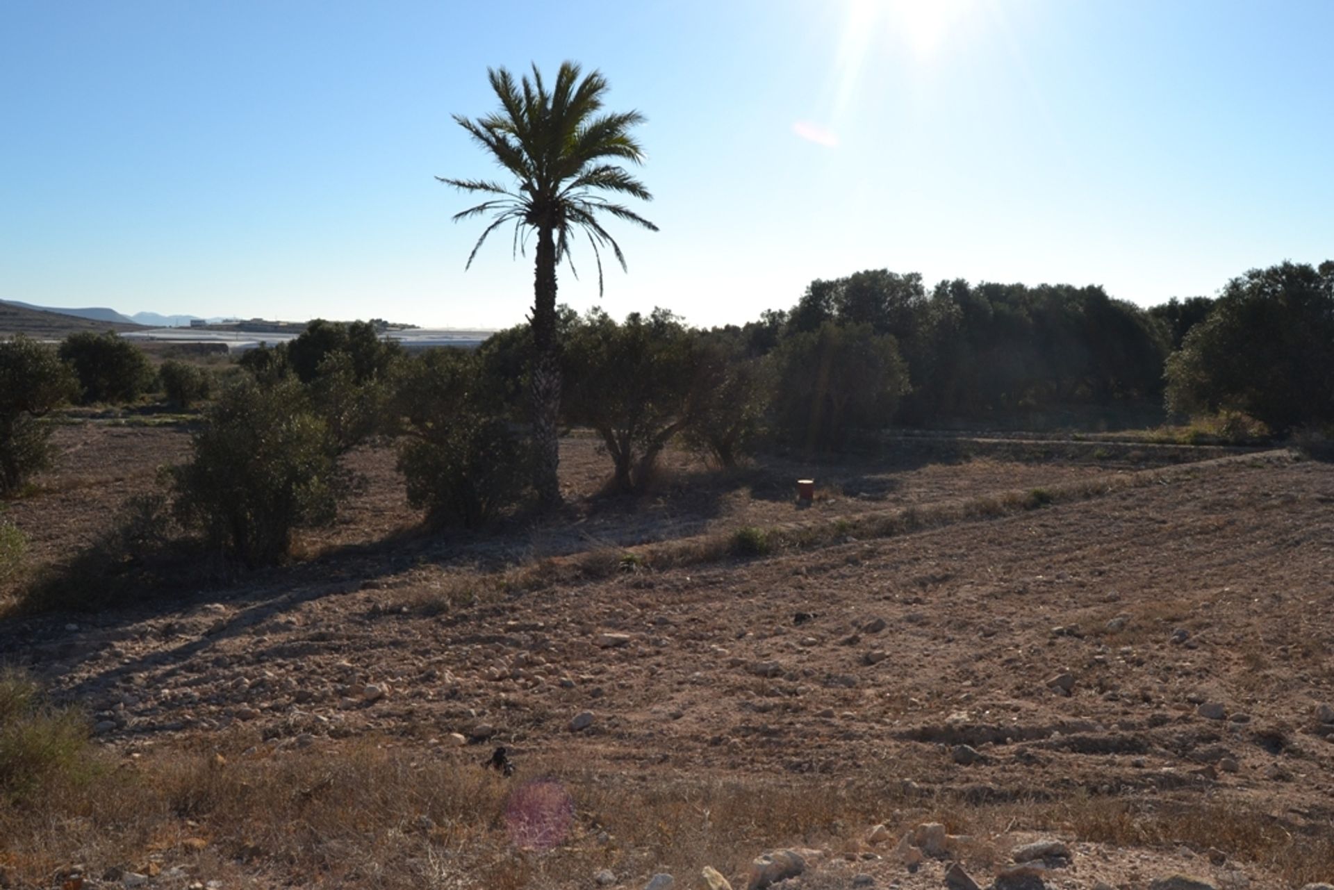 Tanah di Níjar, Andalucía 11518612