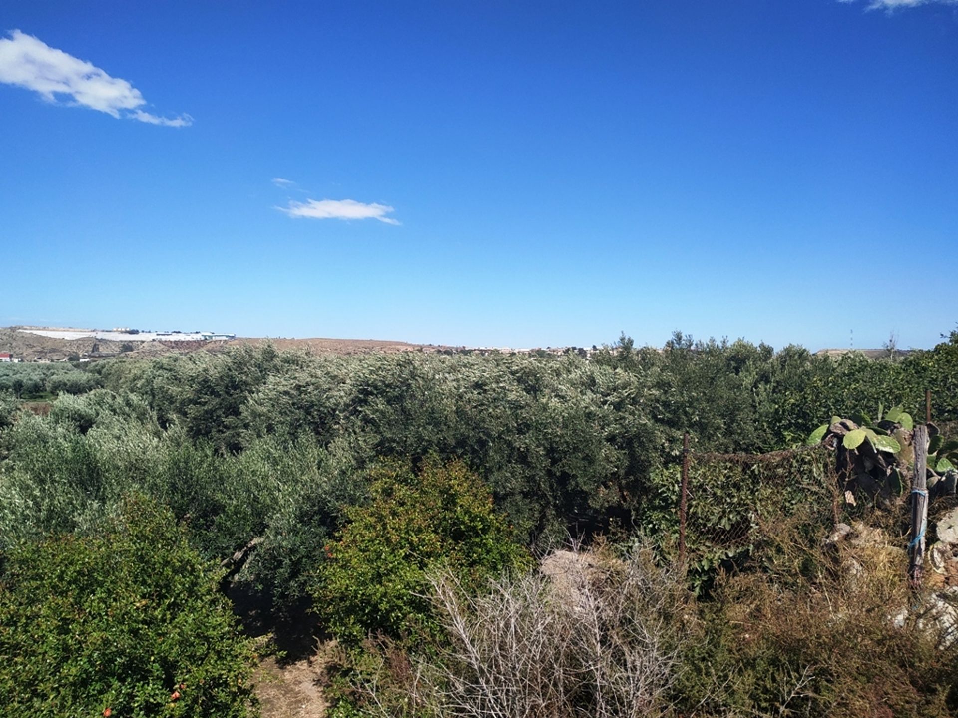 Tanah di Barrio del Carmen, Andalusia 11518620