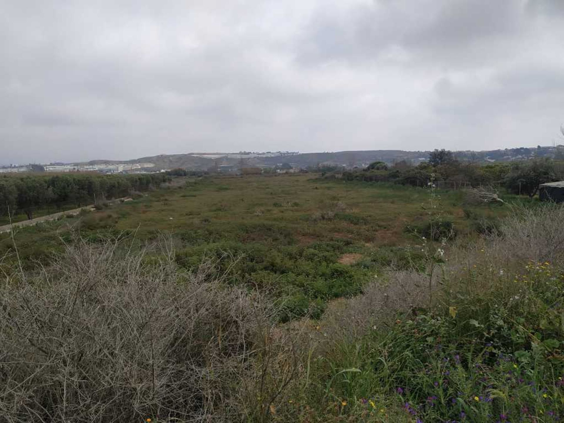 Tanah di Barrio del Carmen, Andalusia 11518622