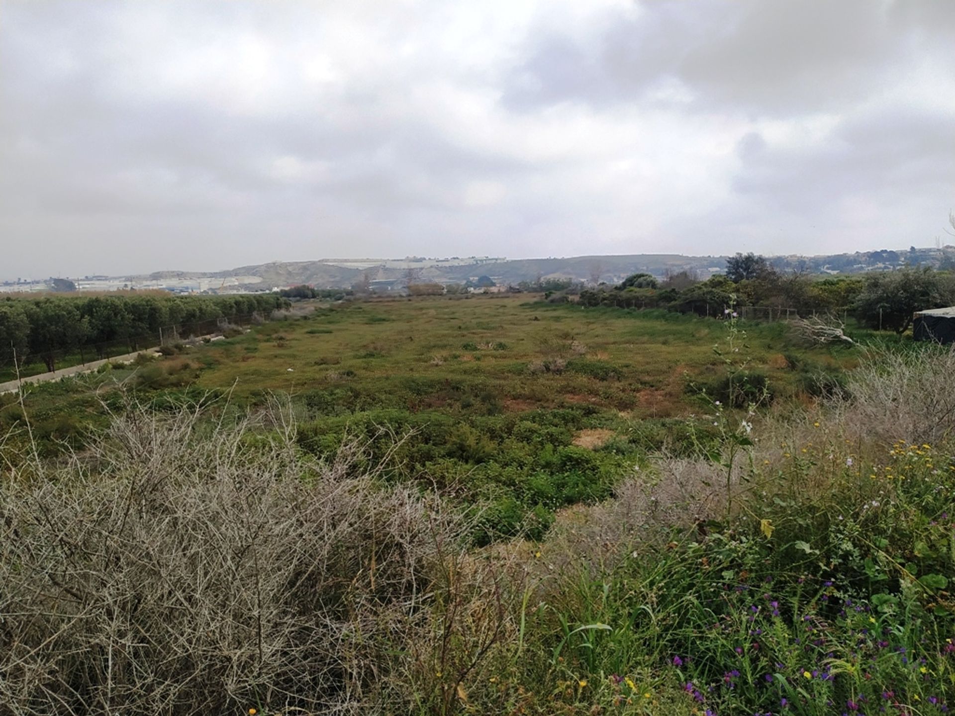 Tanah di Barrio del Carmen, Andalusia 11518622