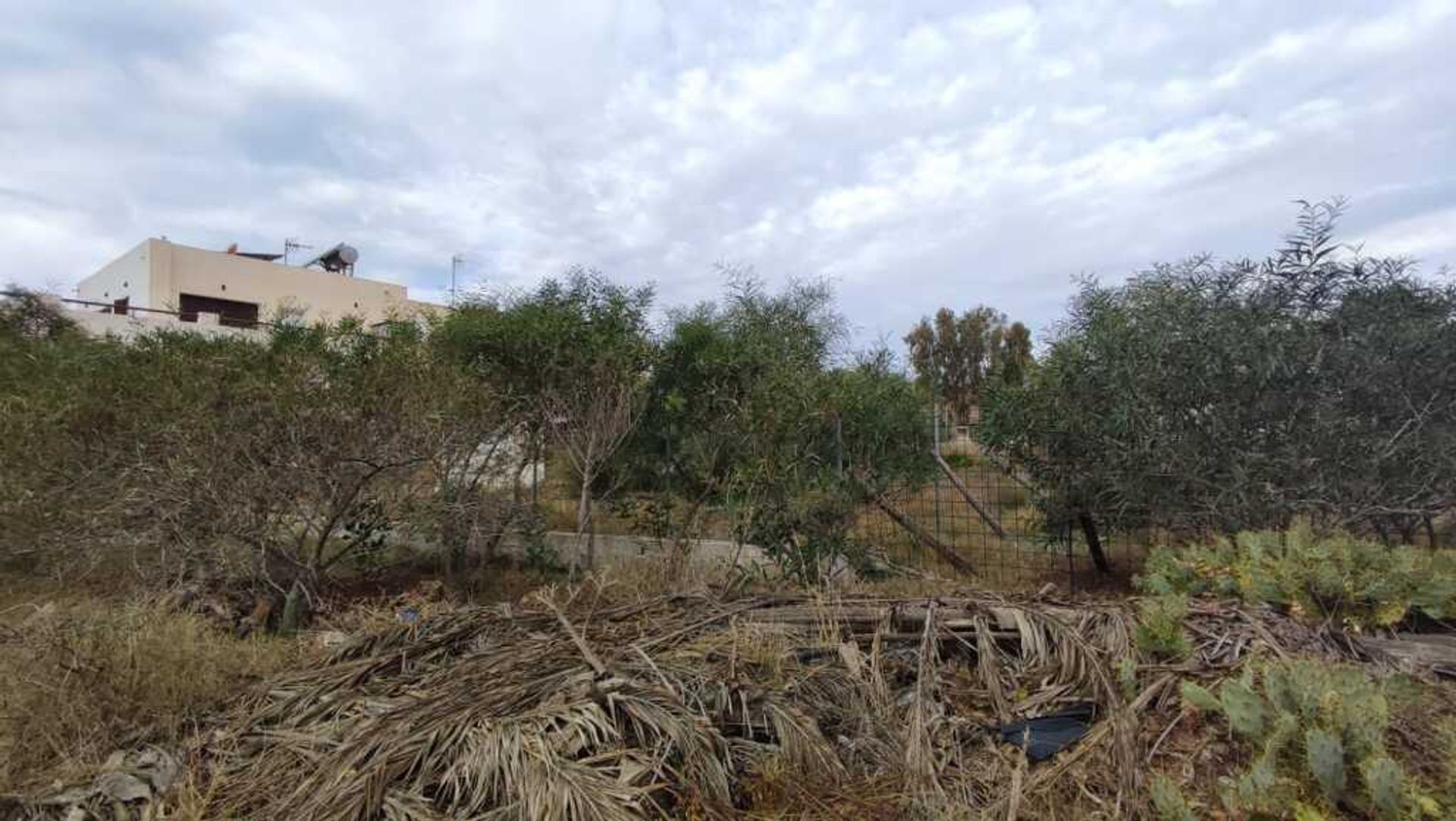 Terre dans San José, Andalousie 11518637