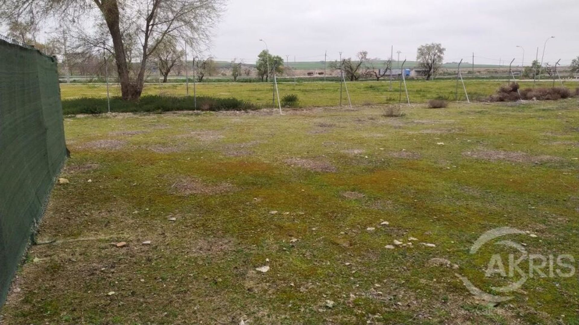 Land in Torrijos, Castilië-La Mancha 11518898