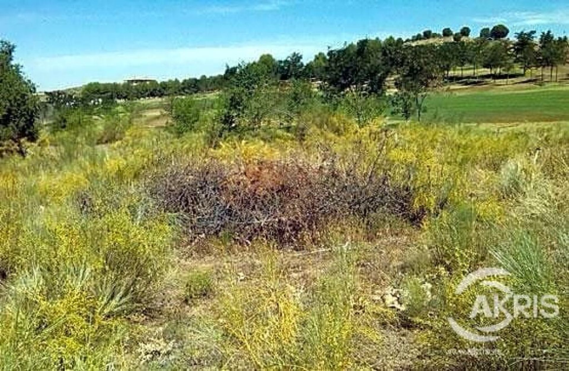 Land i Layos, Castille-La Mancha 11518970