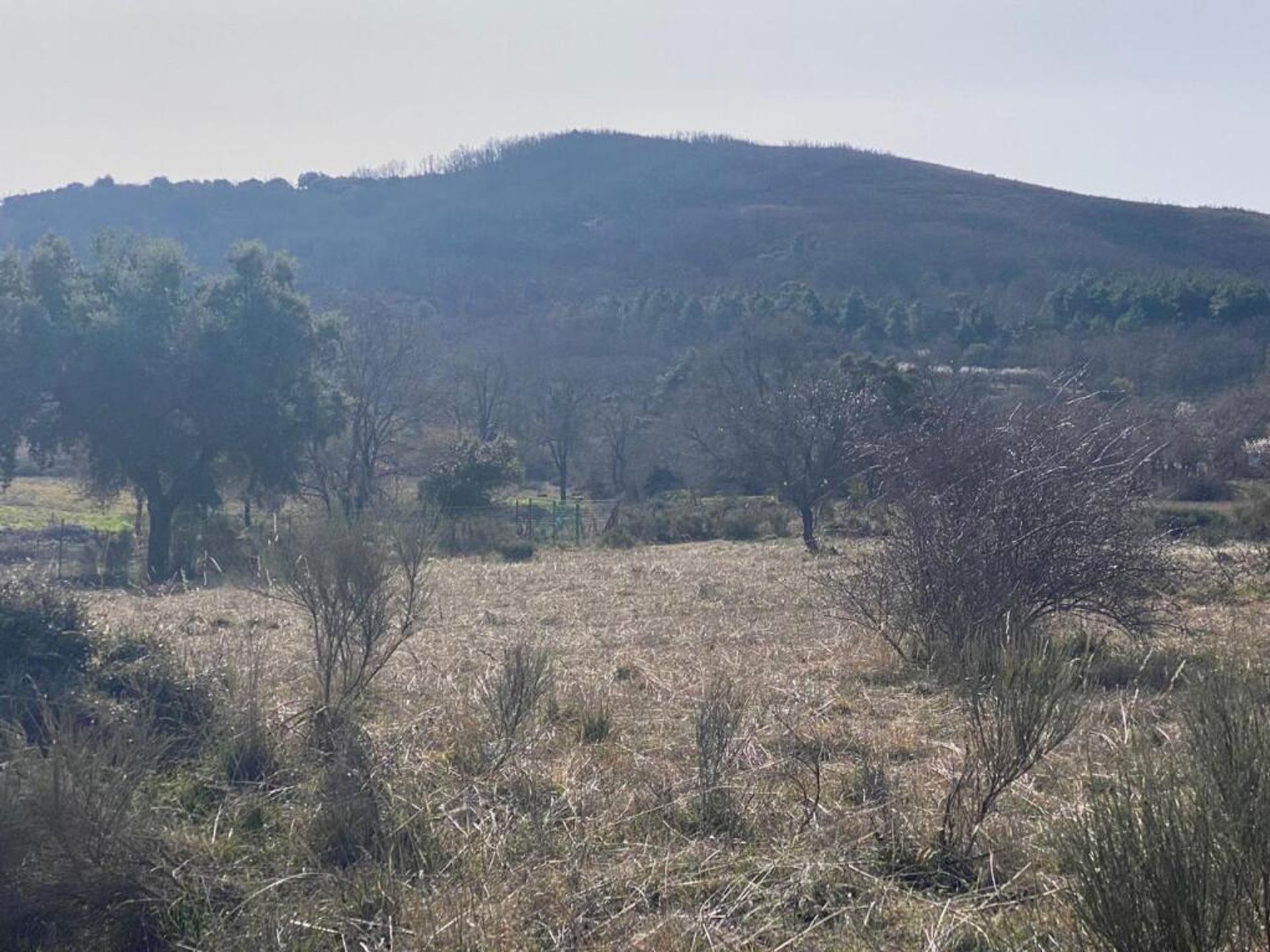 بيت في Las Navillas, Castilla-La Mancha 11518993